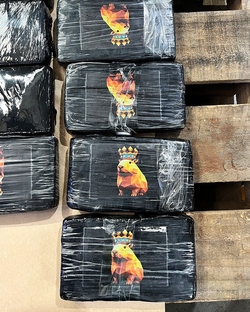 Customs seizes cocaine worth nearly $16m from container at Port of