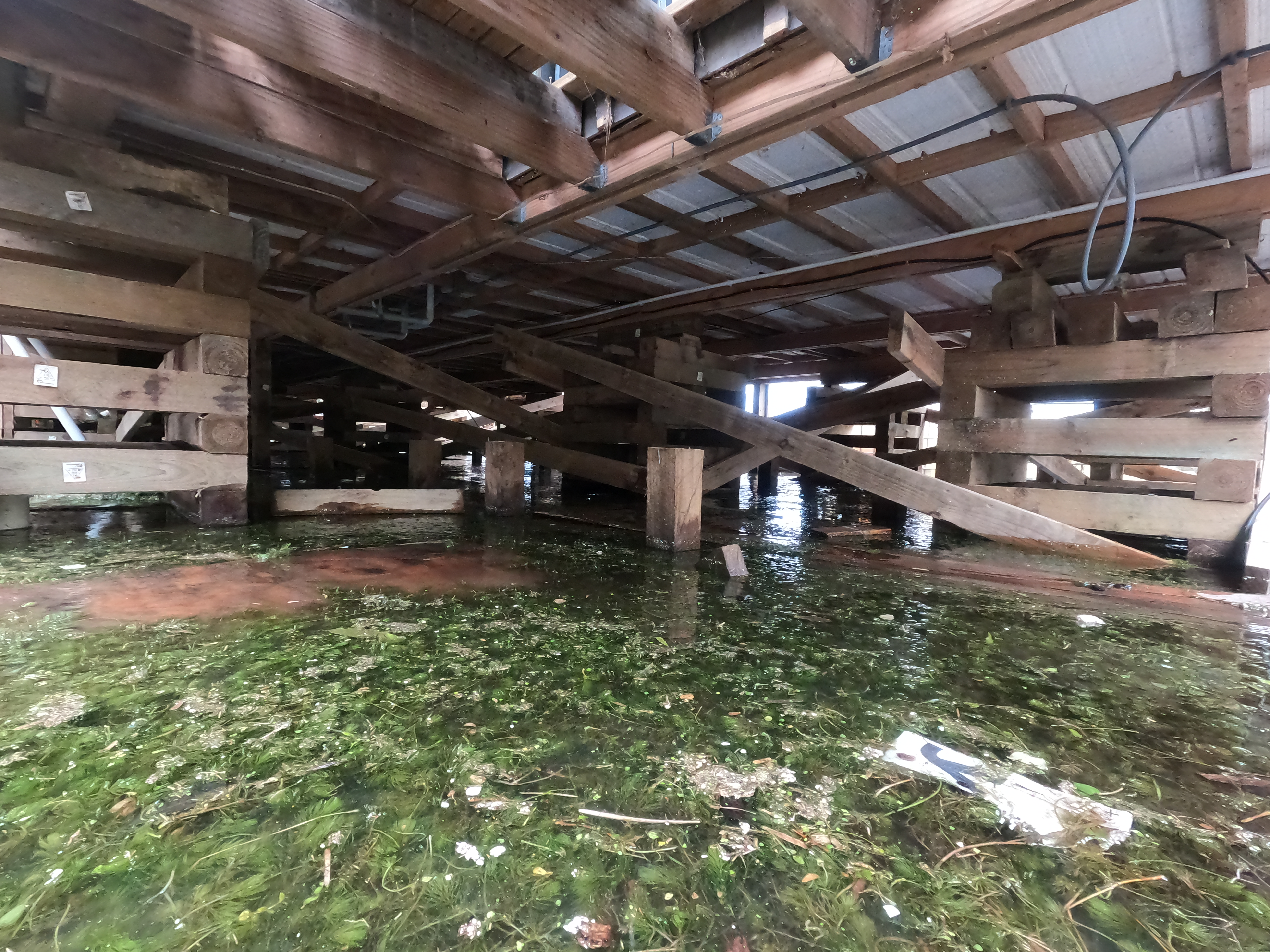 Water has swamped the ground beneath Joan Blair's Rotoehu home. Photo / Laura Smith