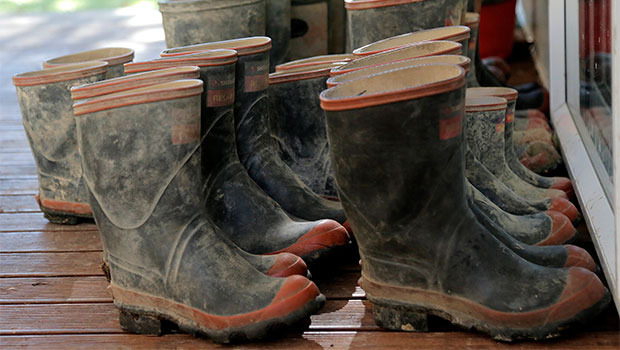 Gumboot run under way  Otago Daily Times Online News