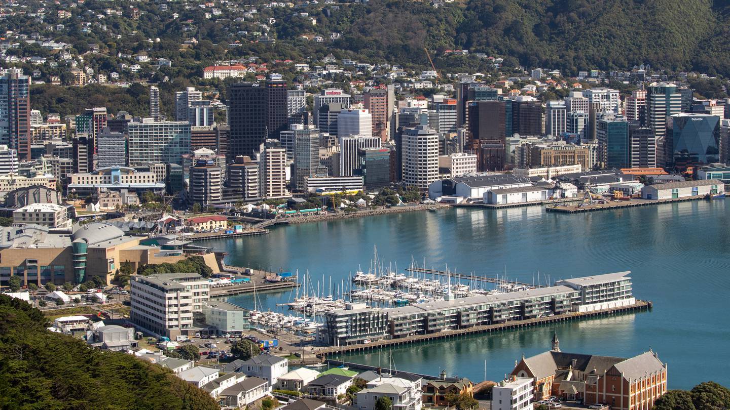 Two separate groups – Vision for Wellington and Wellington Alive – are trying to bring some positivity back to the capital. Photo / Mark Mitchell