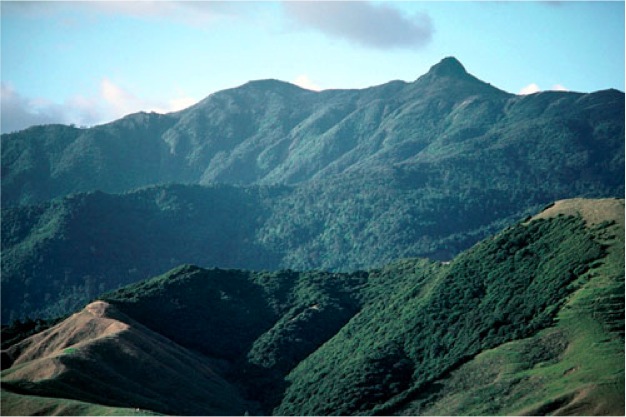Moehau in the Coromandel - the mountain where Tamatekapua's body lies which is so precious to Te Arawa. PHOTO/SUPPLIED