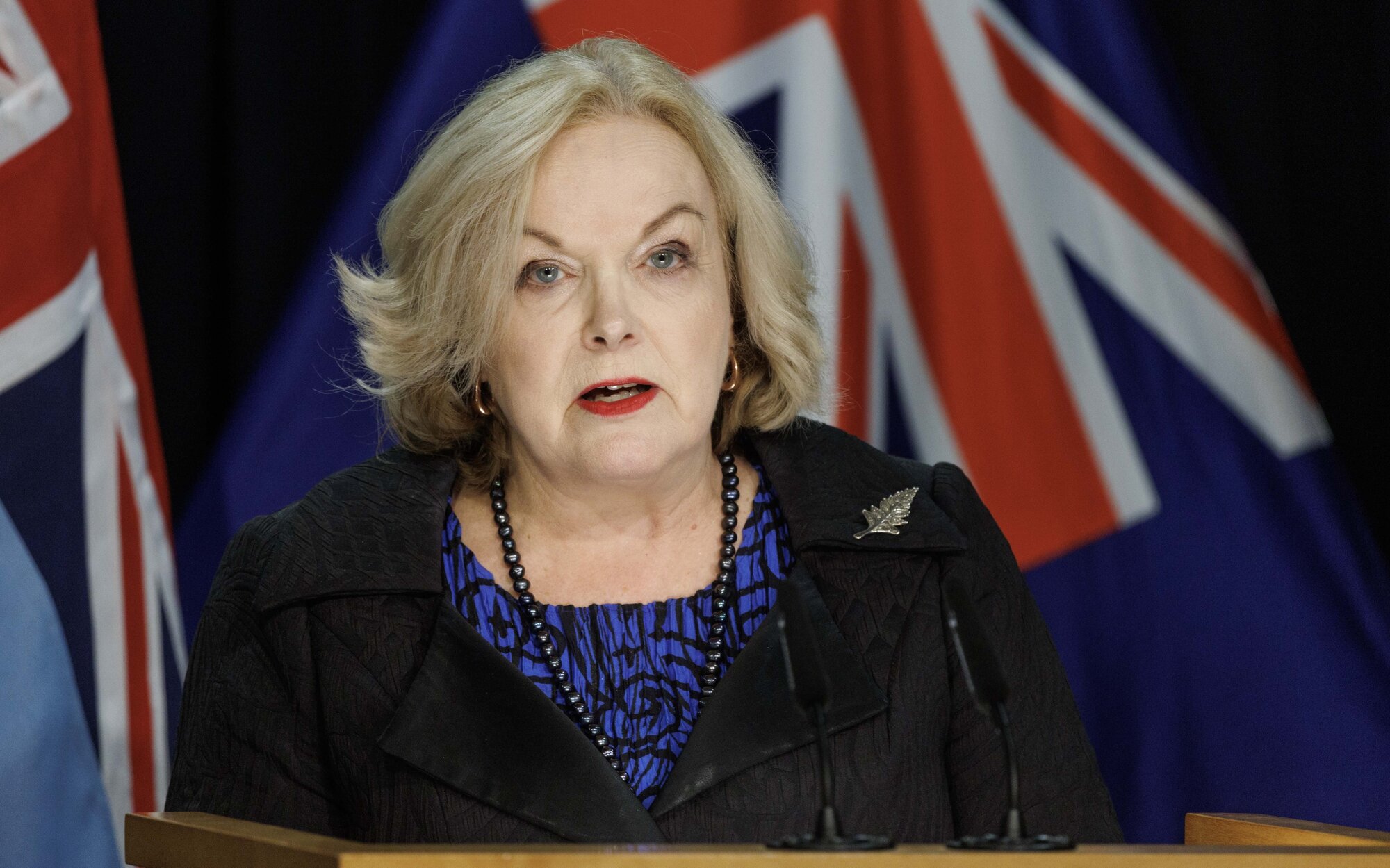 Public Service Minister Judith Collins doesn't believe most people will worry about it. Photo / Mark Mitchell