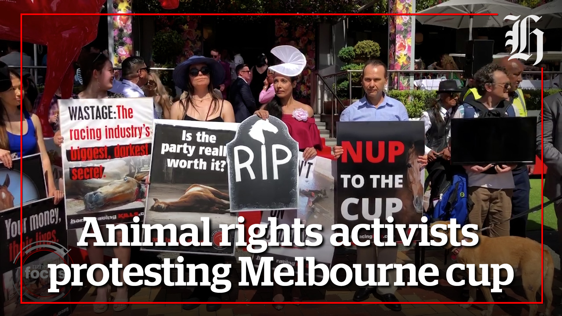 Focus: Animal rights activists protesting Melbourne cup - NZ Herald