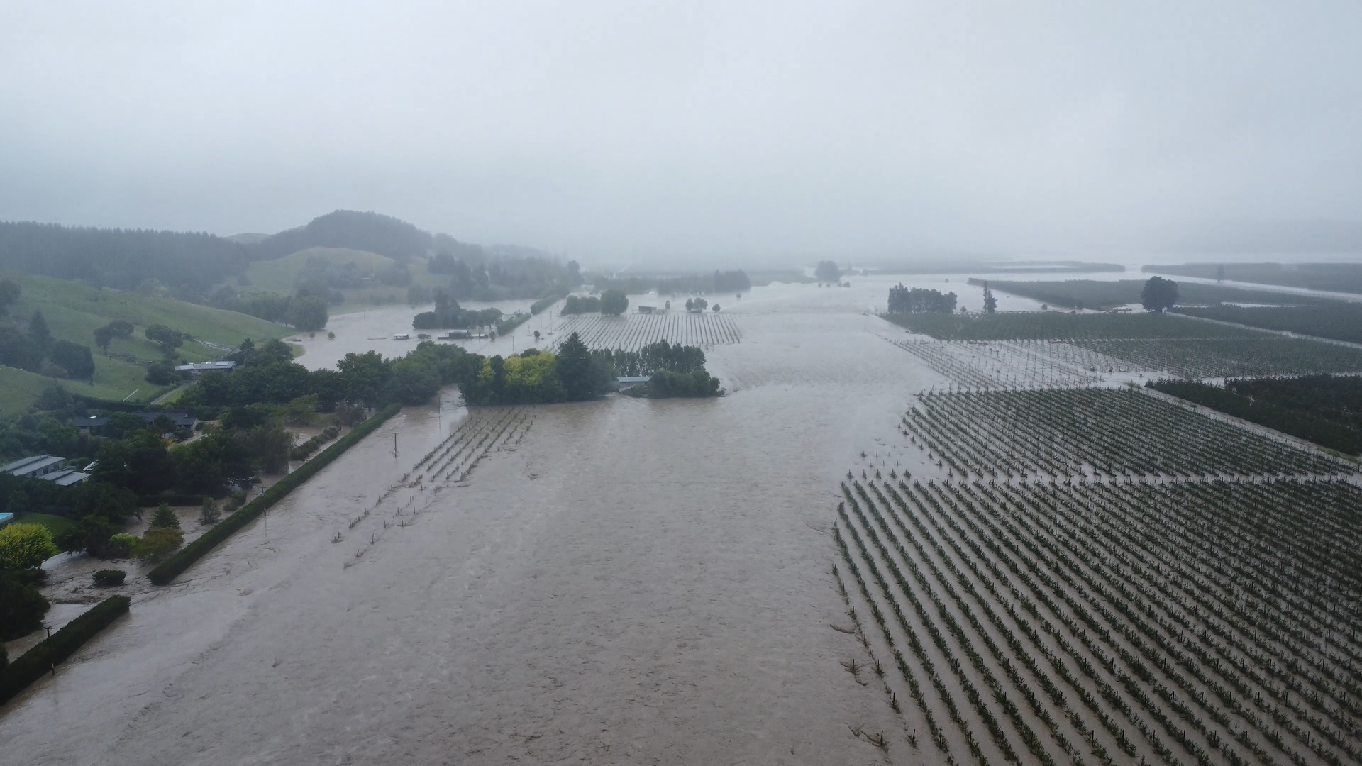 Swamp Rd turned into a racing river on Tuesday morning, with only a lucky few properties spared. Photo / Matt Wheatley