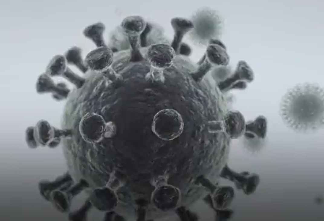 New Zealand has been lauded for its fight against Covid - but Kiwis are still dying. Photo / WHO