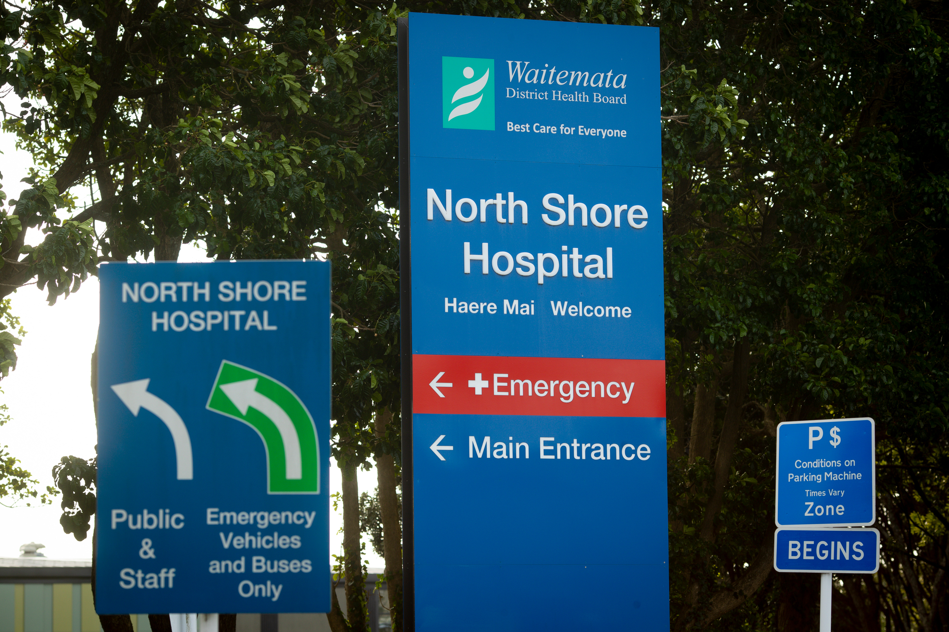 There have been several incidents involving assaults and violence at North Shore Hospital. Photo / Dean Purcell, File