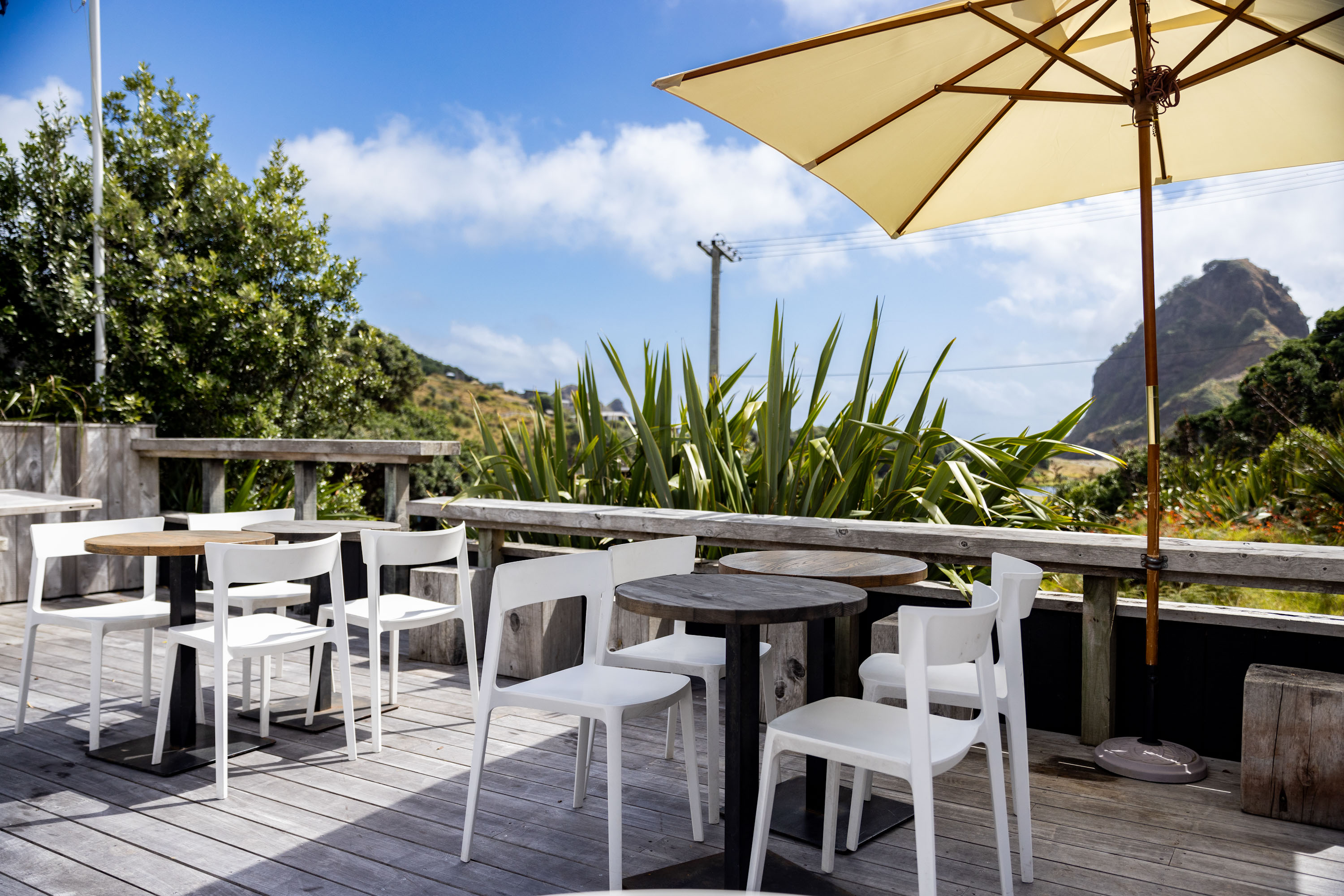 Aryeh has views of Piha's Lion Rock from its outdoor dining area. Photo / Babiche Martens