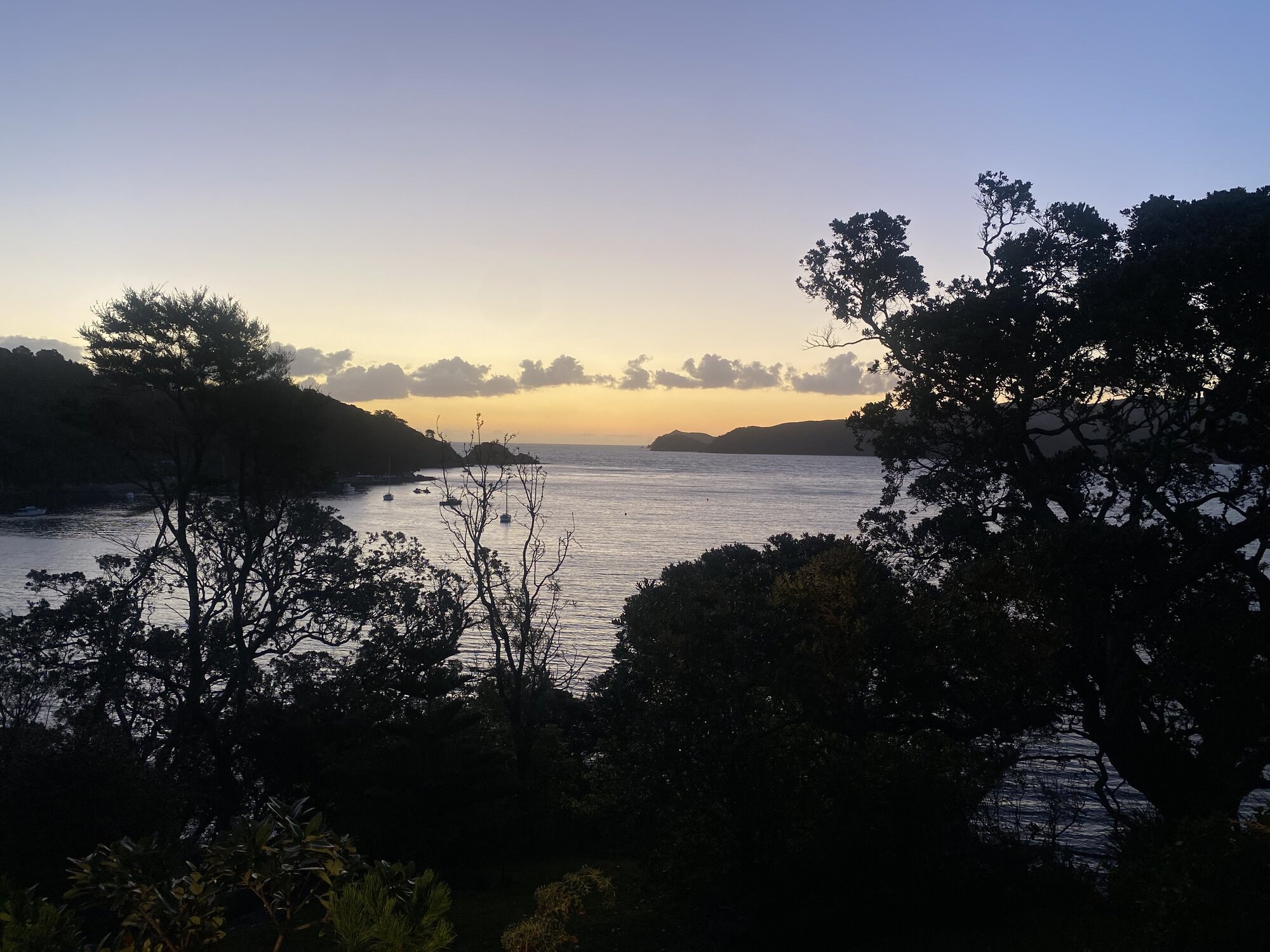 Sunset on Great Barrier Island, one of the most remote and sparsely populated islands in the Hauraki Gulf. Photo / Joanna Wane