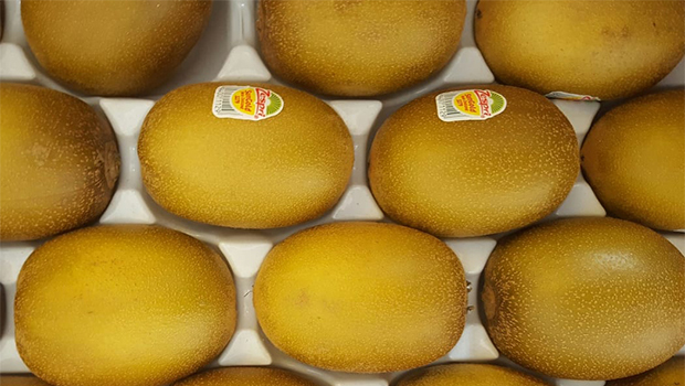 Our News - Zespri® Organic Kiwifruit packs punch - Oppy