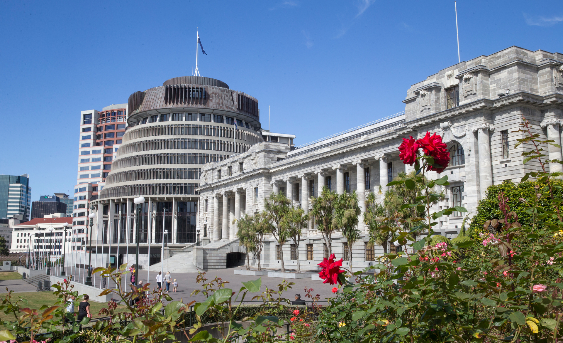The Government has already commissioned the Law Commission to undertake a detailed study of tikanga. Photo / Mark Mitchell