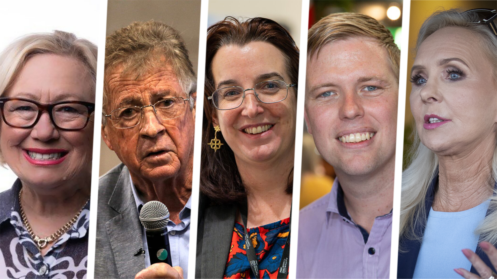 Auckland councillors outline their priorities for the next three years.