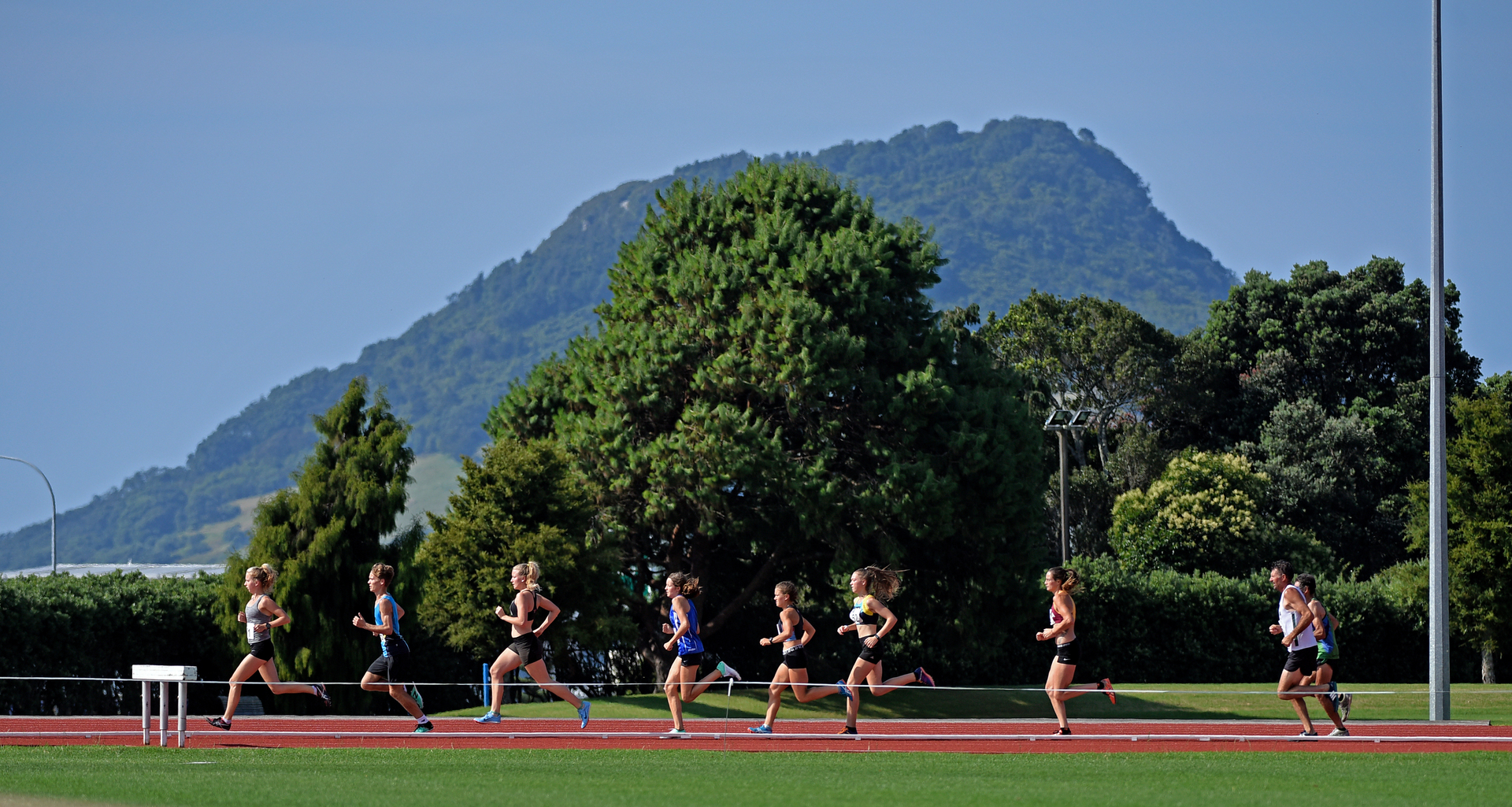 The athletics track in Tauranga Domain, pictured during a 2019 meet, is the preferred site for a multi-use stadium. Photo /  George Novak 
