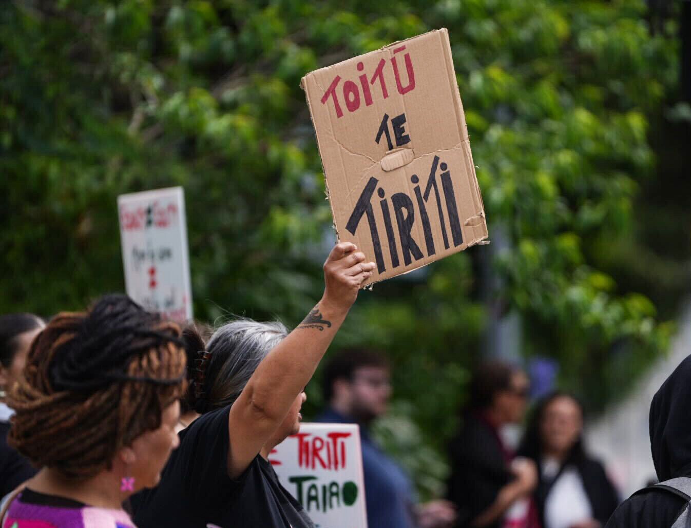 People outside the Act party offices in Epsom protesting against the introduction of the Treaty Principles Bill in Parliament. Photo / Carson Bluck