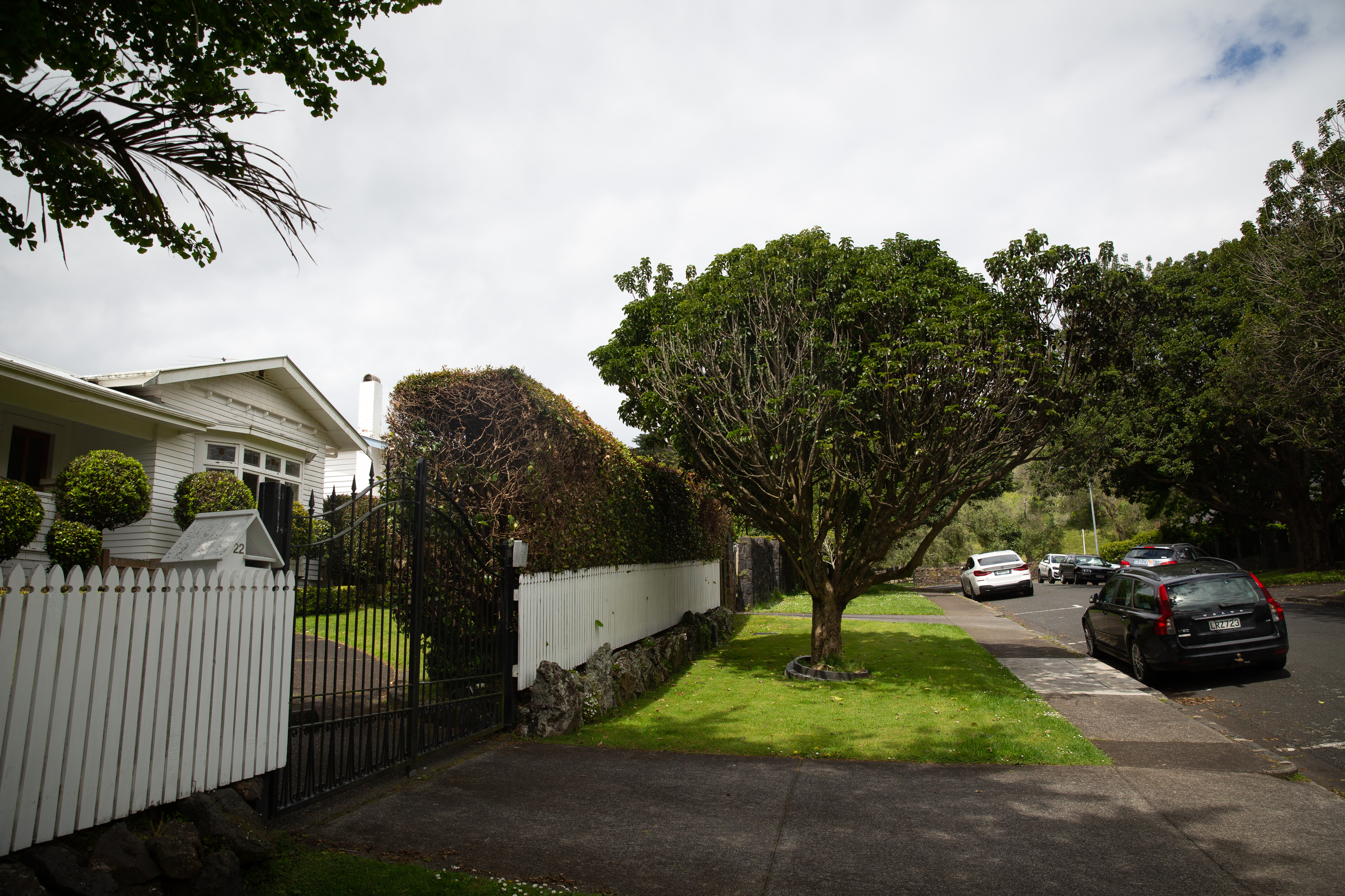 Leafy Crescent Rd in Epsom and Clair Connor's bungalow. Photo / Sylvie Whinray
