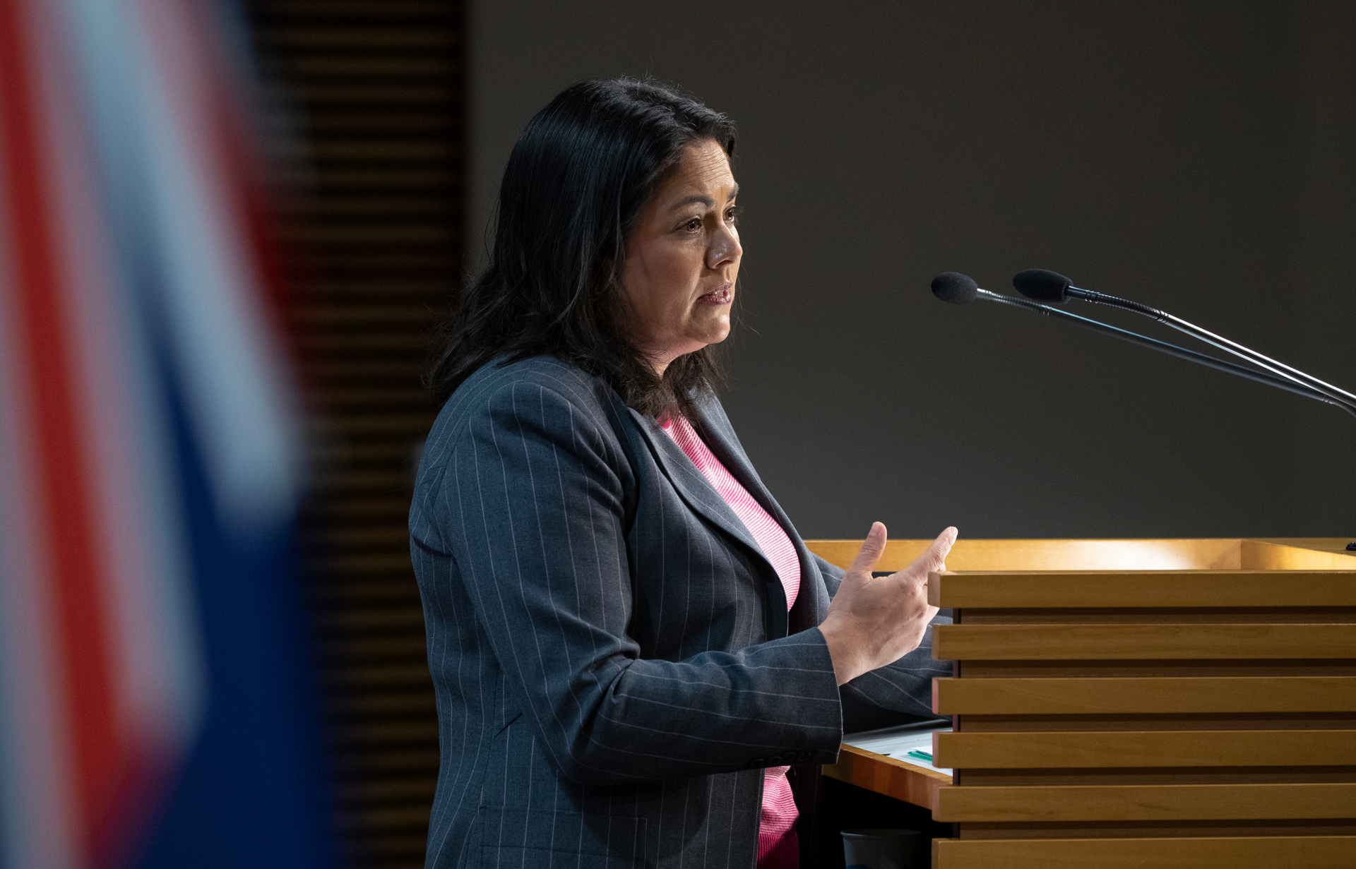 Associate Health Minister Ayesha Verrall. Photo / Mark Mitchell