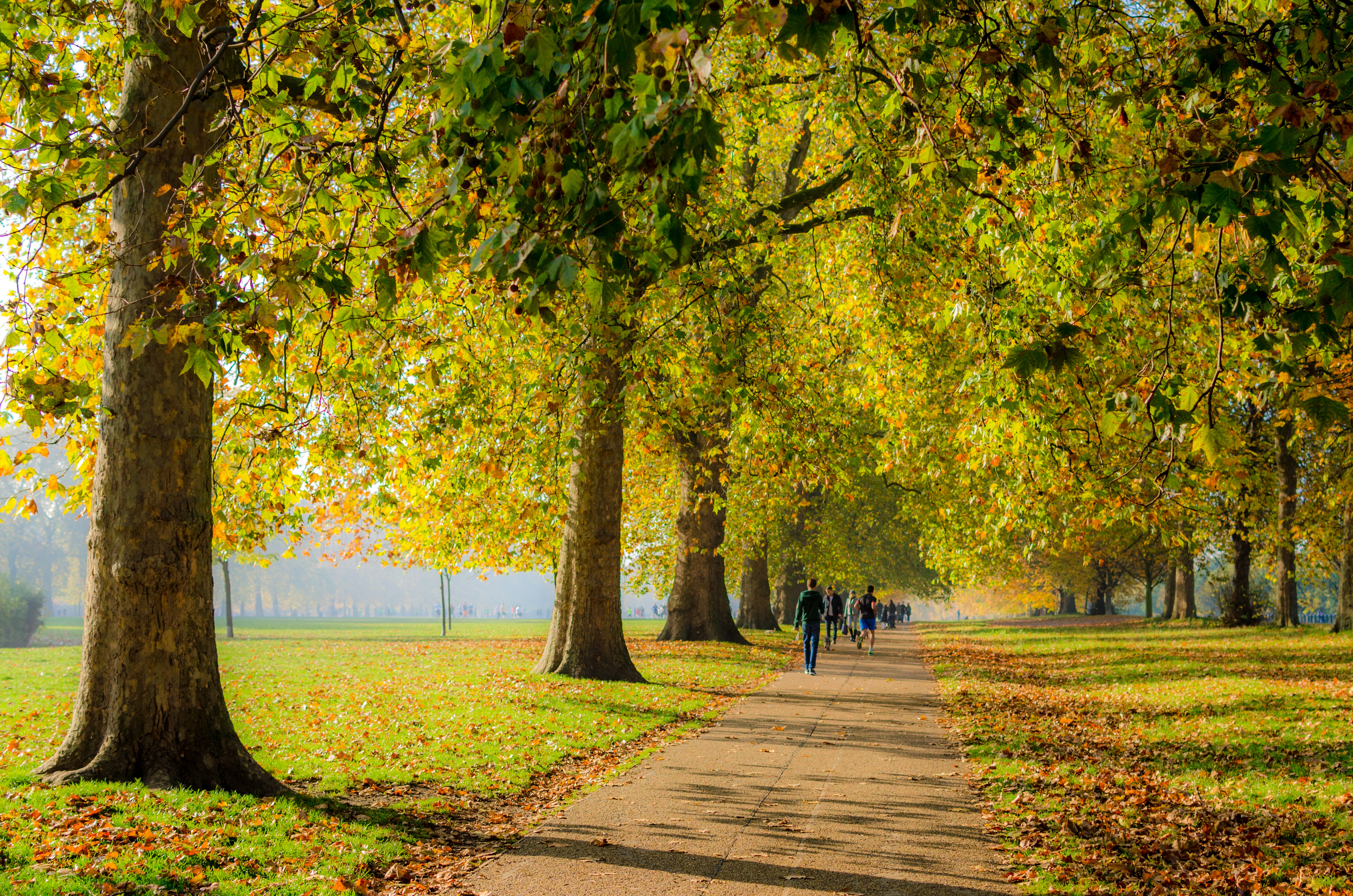 Hyde Park and the South Kensington museums in London offer a mix of adventure and discovery, like something out of Peter Pan or Mary Poppins. Photo / 123rf