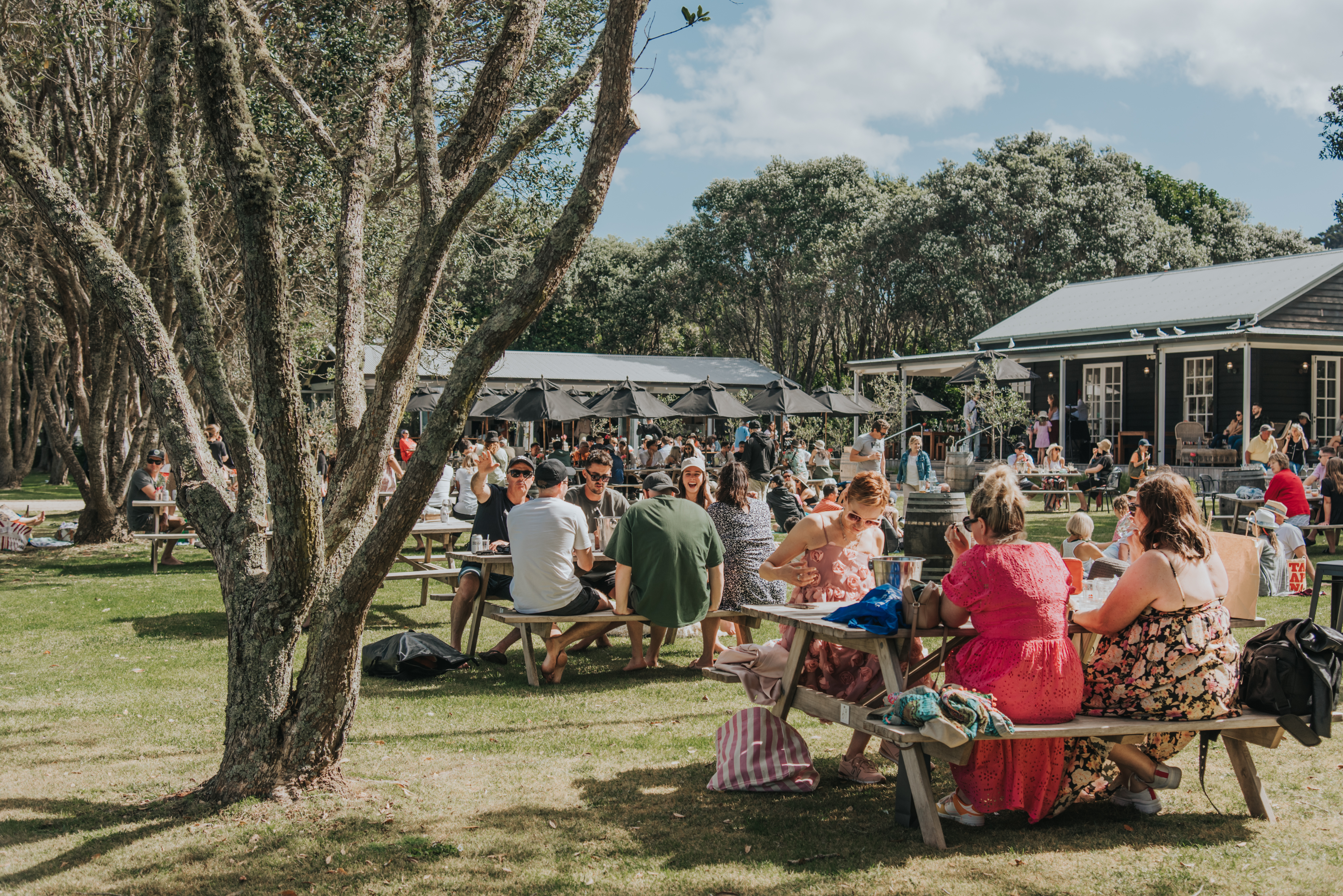 Attend a special tasting event at Waiheke winery Man O' War. Photo / Mili Villamil