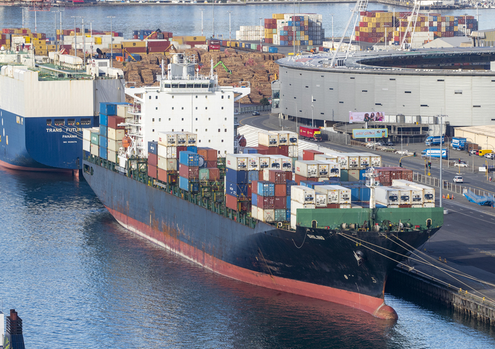 The Shiling was detained in Wellington for weeks after the previous breakdown. Photo / Mark Mitchell