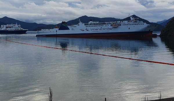 The Interislander ferry Aratere which ran into the South Island coastline. The ferry hit the South Island coastline just after 10pm yesterday, with the Maritime Union warning the failure could have been disastrous had it occurred in bad weather. Photo / Tim Cuff