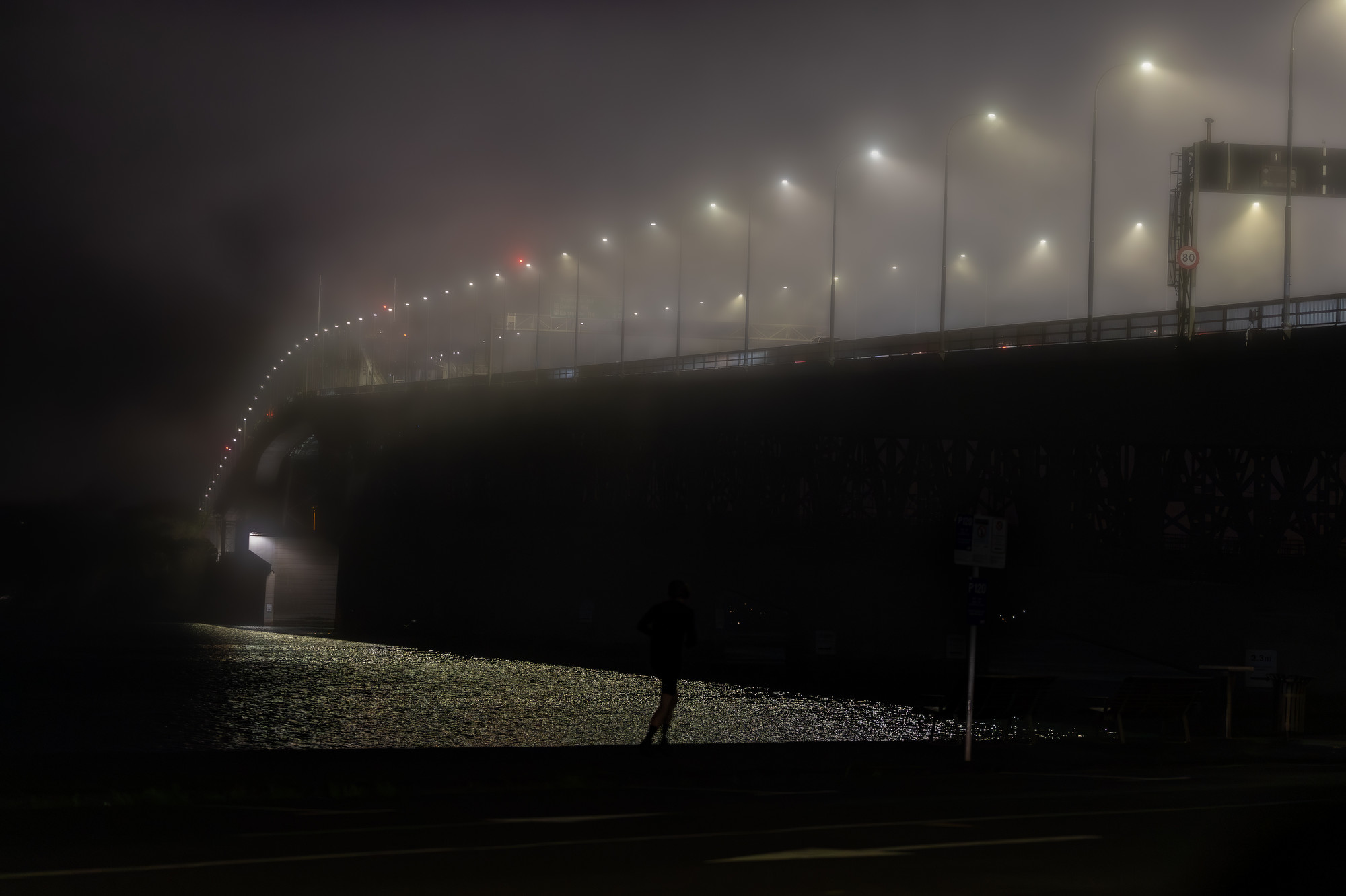 The Auckland Harbour Bridge may have to close on Friday as high winds are expected to hit the city. Photo / Michael Craig
