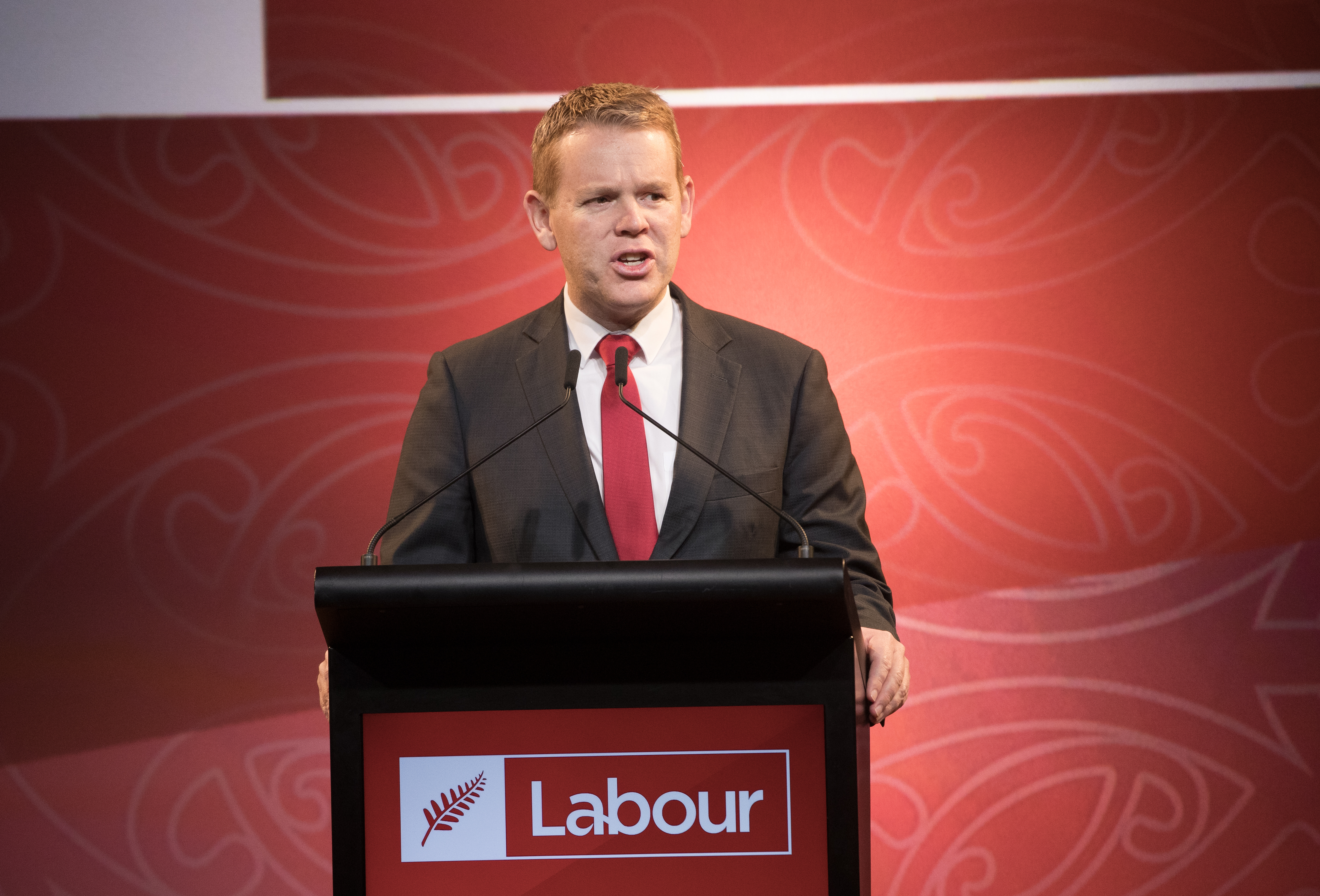 Chris Hipkins said that he had to speak up because there was 'no end in sight' to the talks between National and its partners. Photo / Mark Mitchell