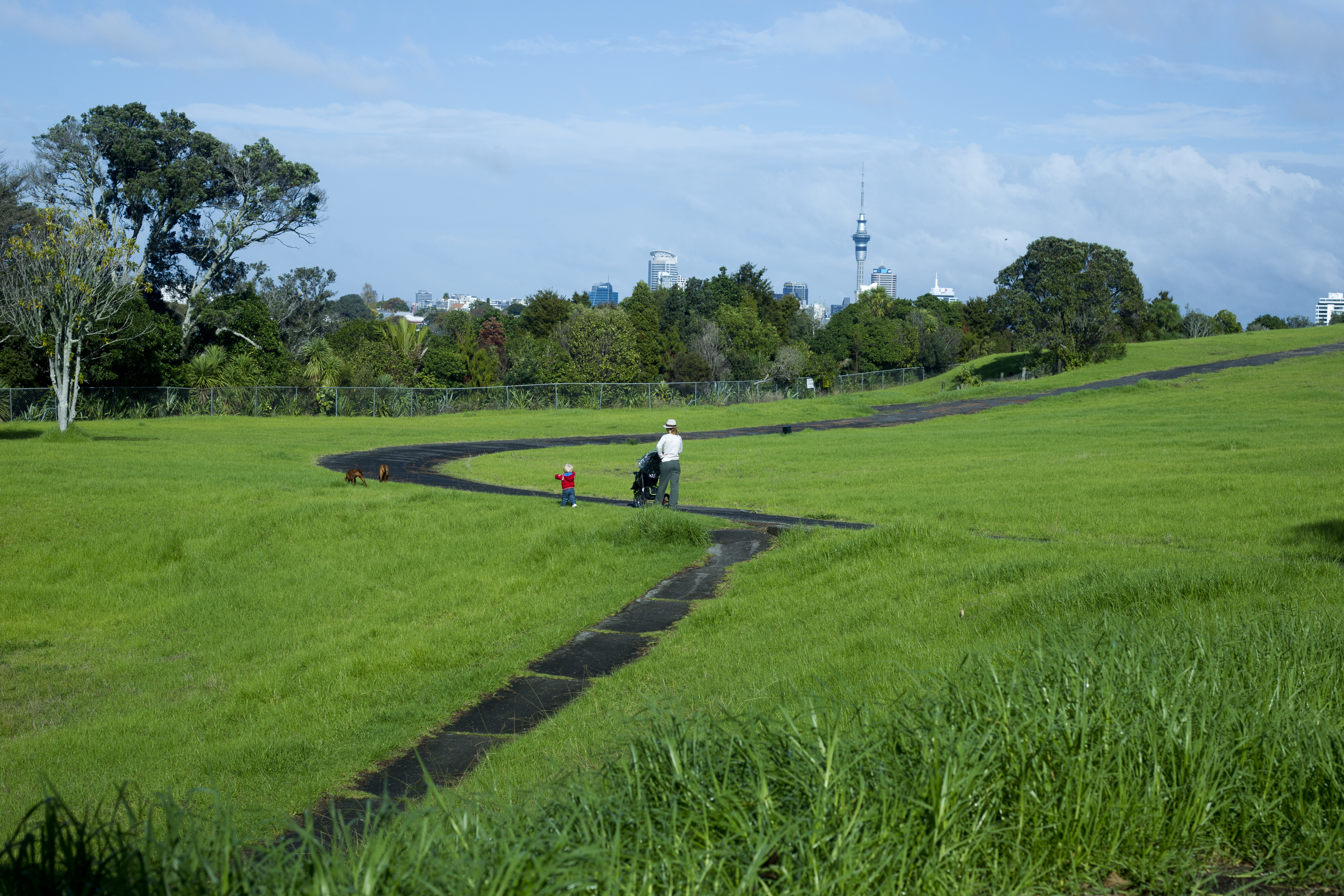 Wakakura, Ngataringa Bay, Devonport. Ngati Whatua bought the land from the defence forces for $10m. It has now leased it to retirement village company Ryman Healthcare. Photo / NZ Herald