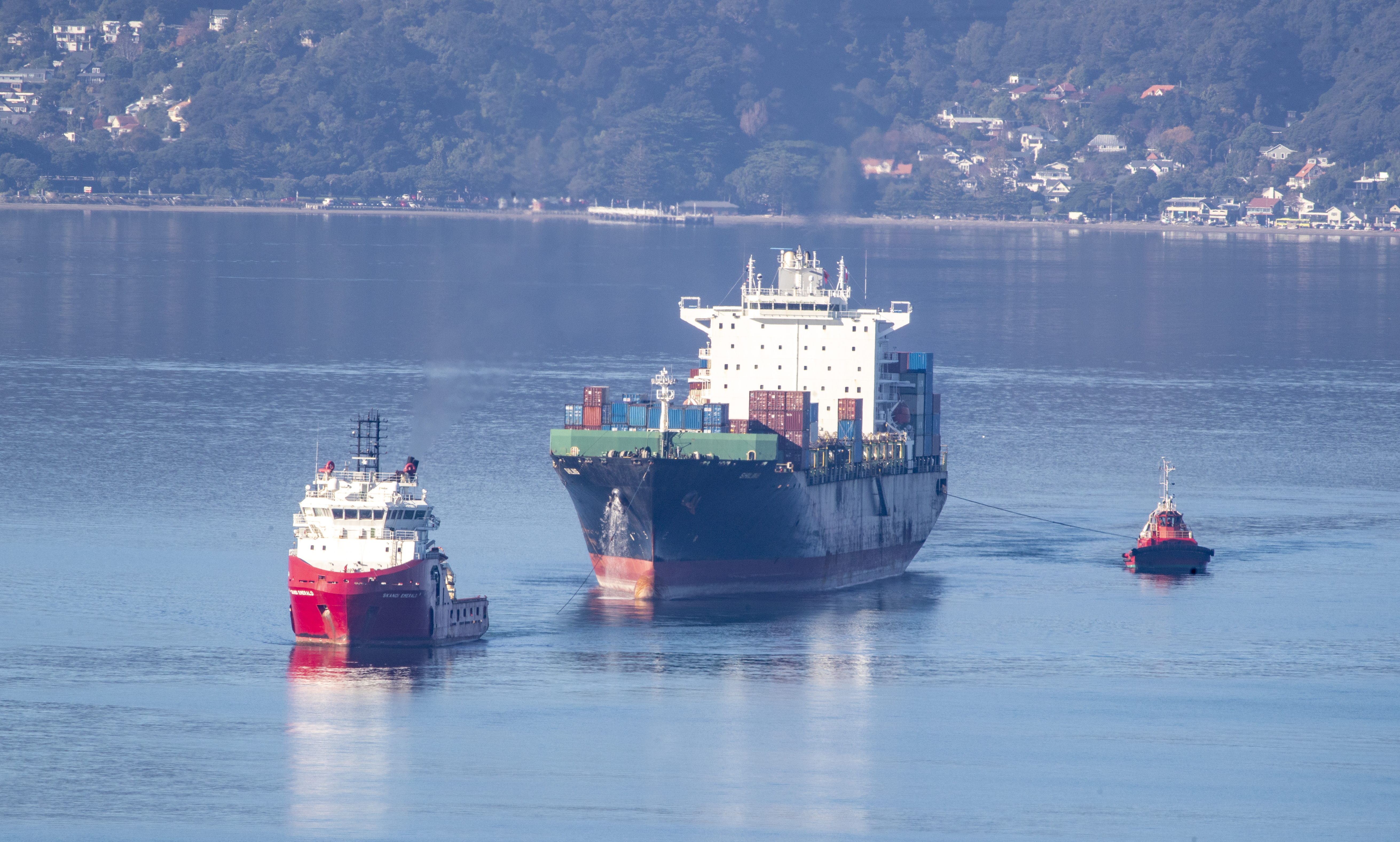 The MV Shiling cargo ship was only temporarily repaired when it was allowed to set sail from Wellington, then lost power 22 nautical miles from Farewell Spit, and issued a mayday call. Photo / Mark Mitchell