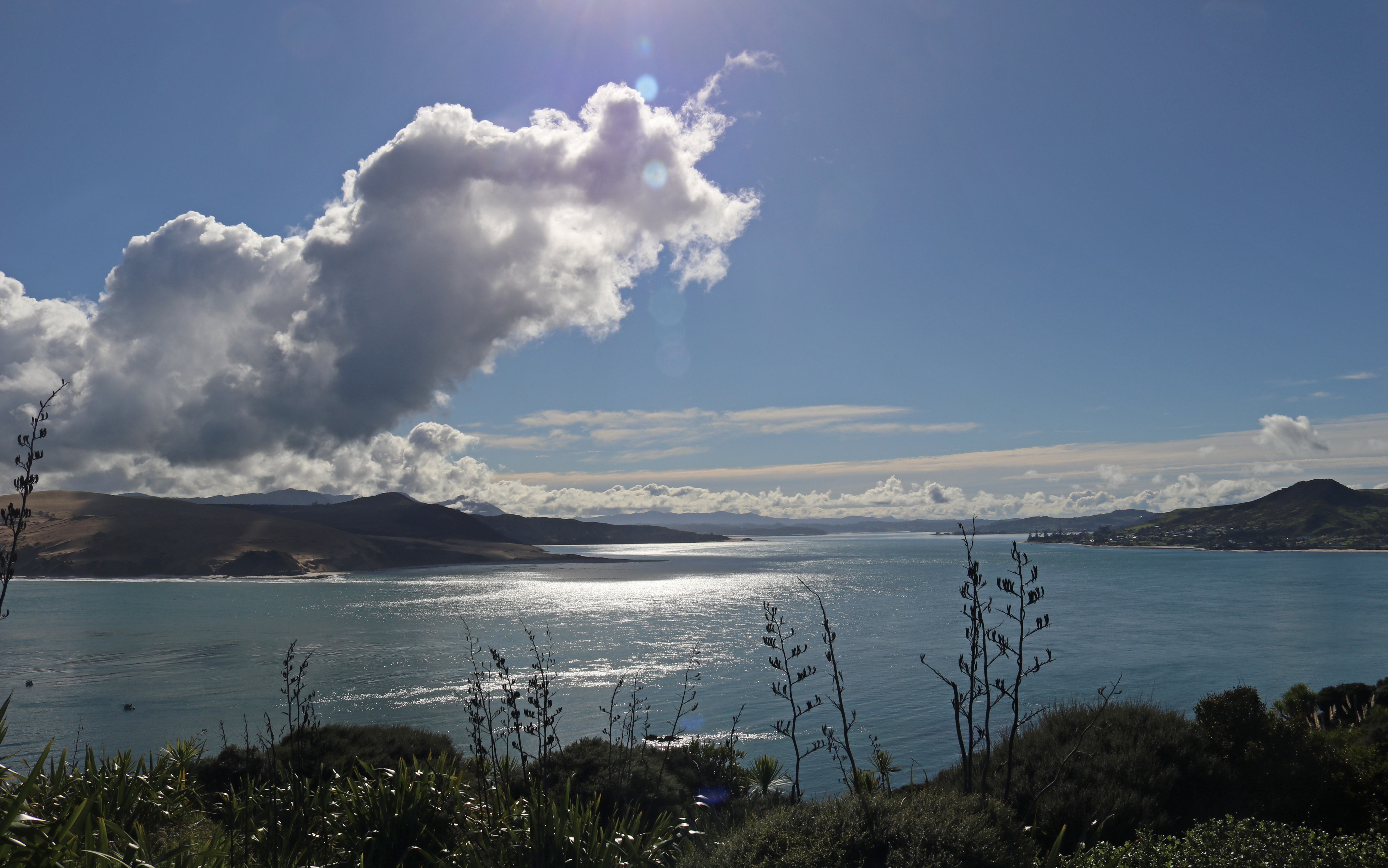 Northland Regional Council will spend $300,000 on developing of a business case for the remediation of the Hokianga Harbour.