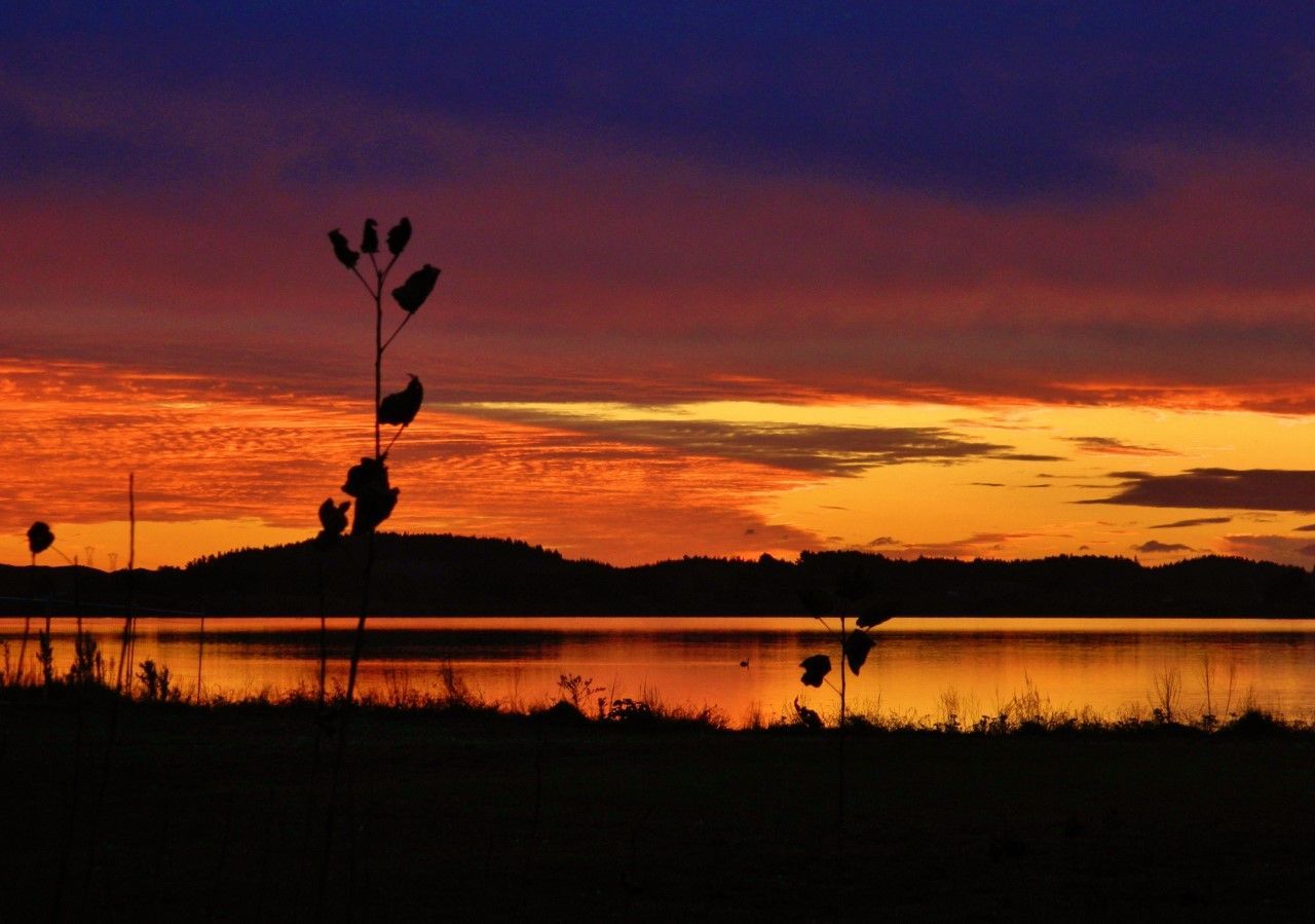 Punahau, an area of designated significance in Horowhenua, at sunset.