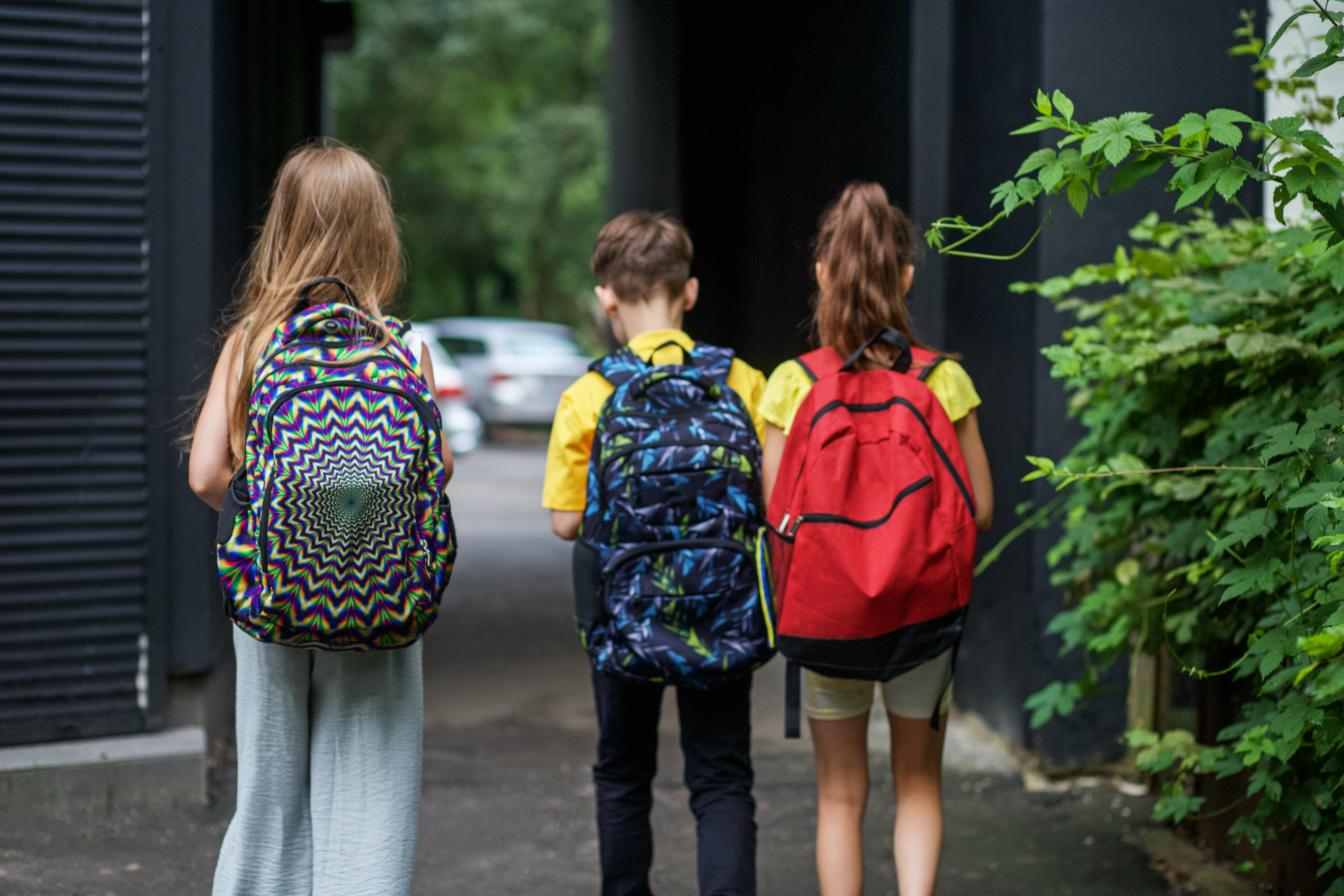 It's back to school in Northland - so what do our predicted rolls look like? Photo / 123 rf