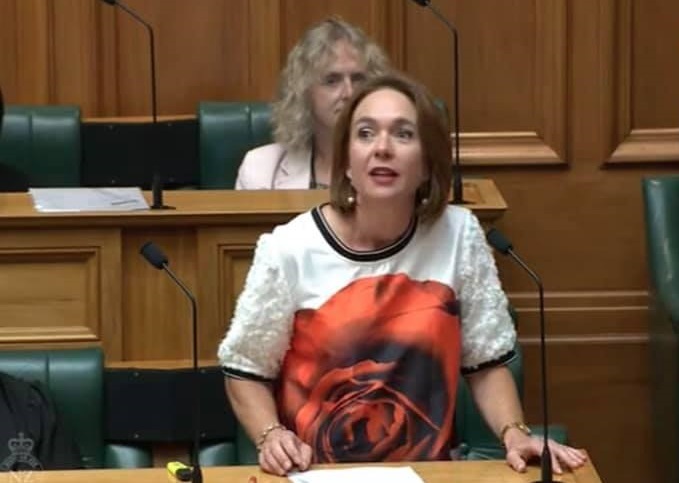 MP Ginny Andersen put up the Members Bill - giving mothers and their partners three days of bereavement leave following a miscarriage or stillbirth. Screengrab / Parliament TV
