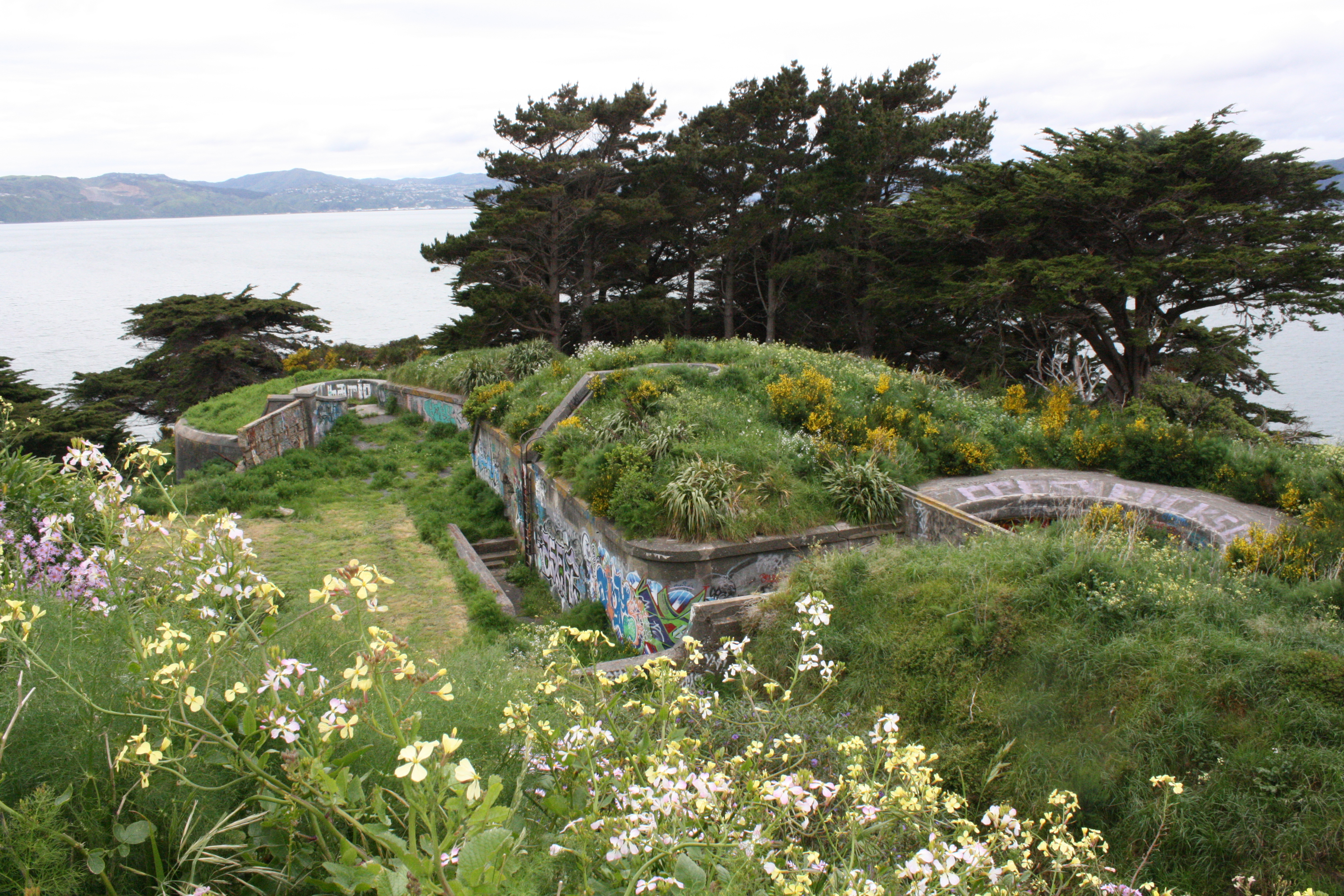 Watts Peninsula is a culturally and historically significant area located near the entrance to Wellington Harbour. Photo / Agnes Ginestet 