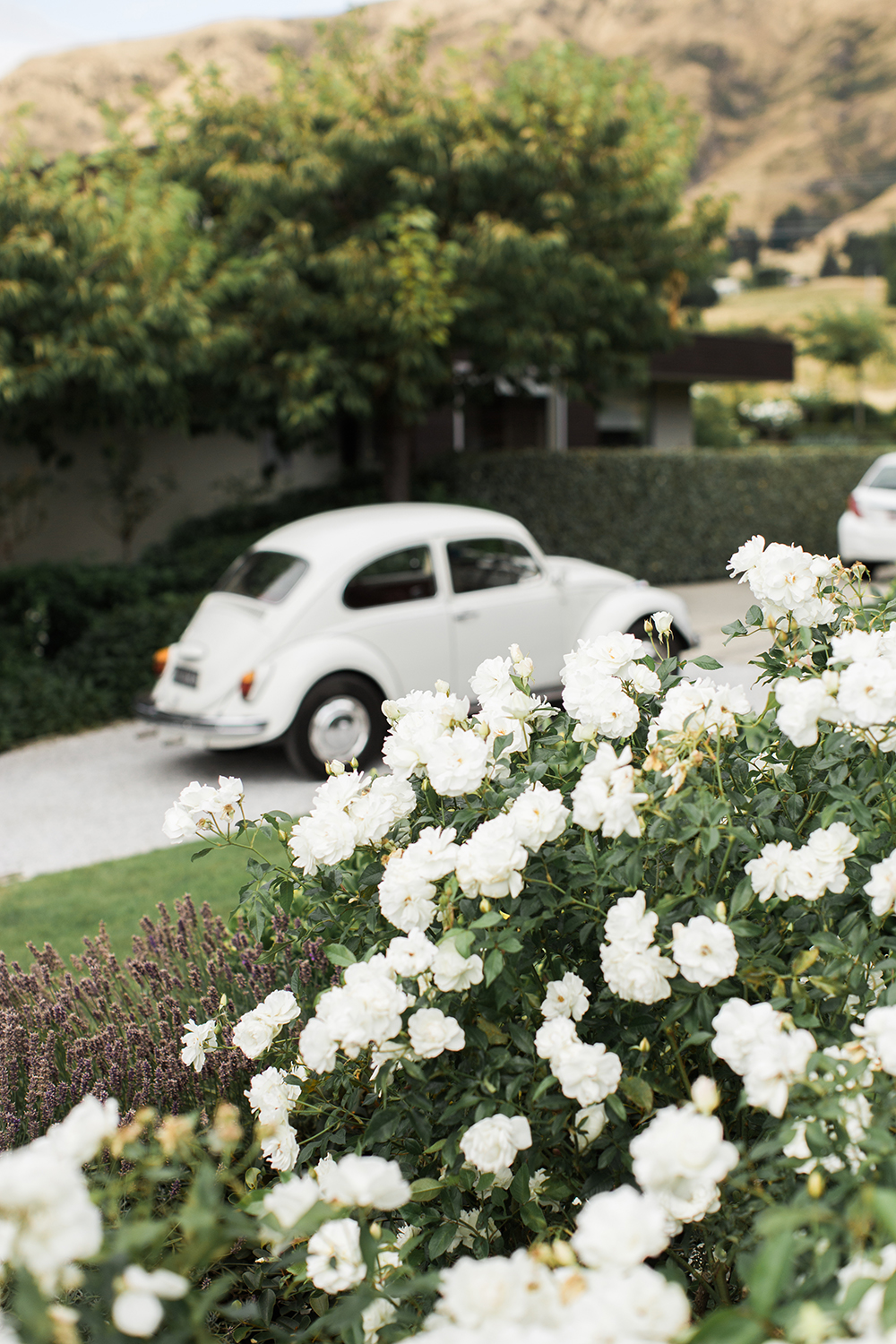 An old Beetle was the day's wheels. Photo / Anna Kidman