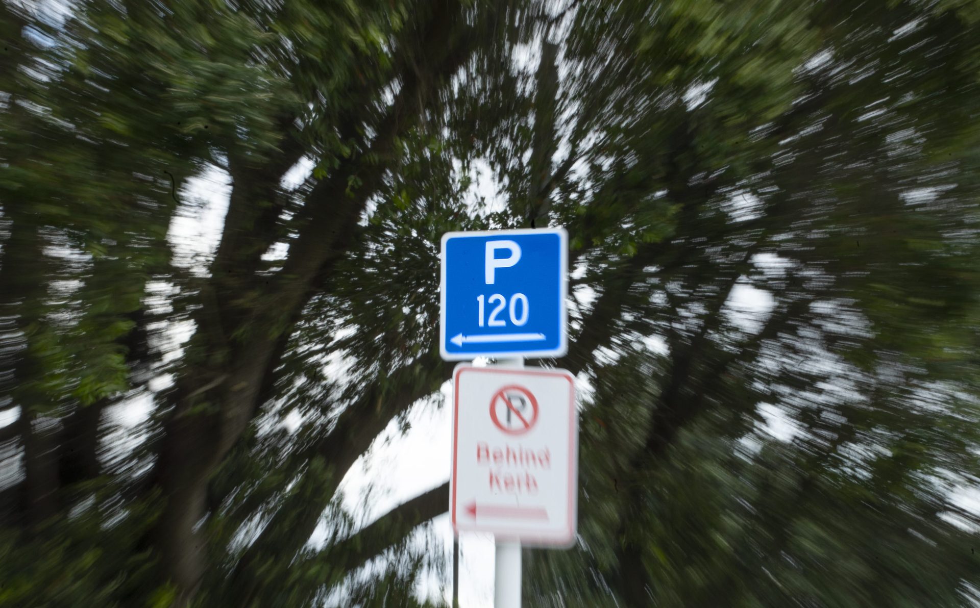 On-street parking in Tauranga's CBD will cost from December 1. Photo / Sun Media