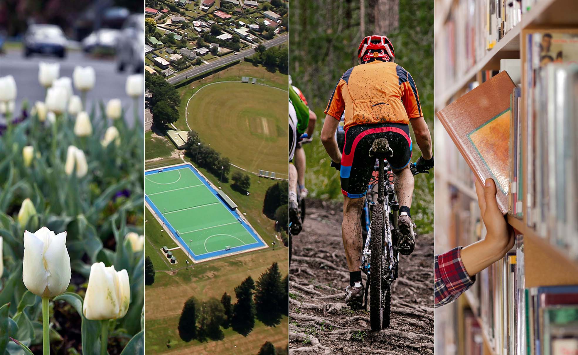 Rotorua Lakes Council’s draft 2023-24 Annual Plan is now out for public consultation.  Photos / File