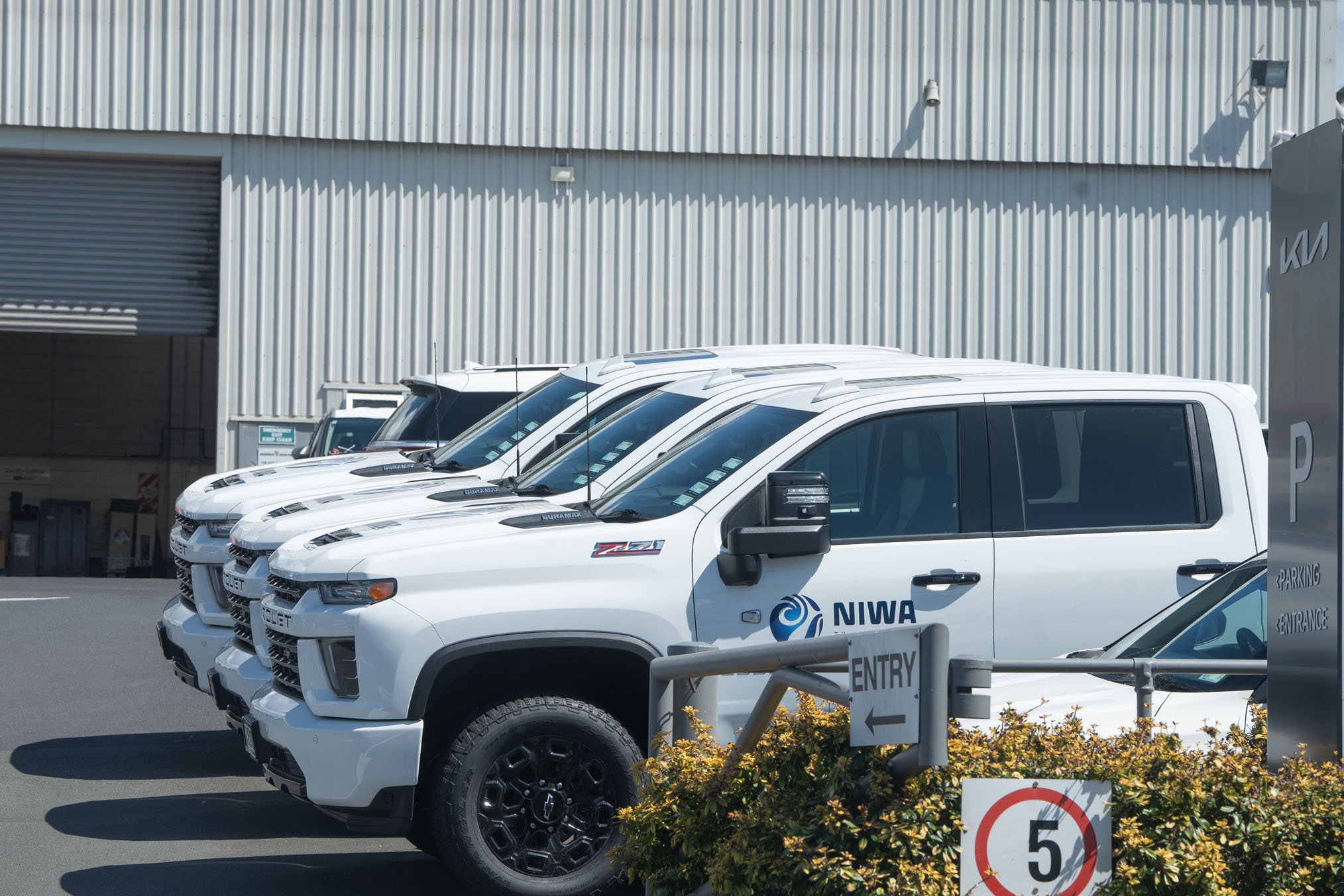 Niwa's new Chevrolet vehicles. Photo / Corey Fleming