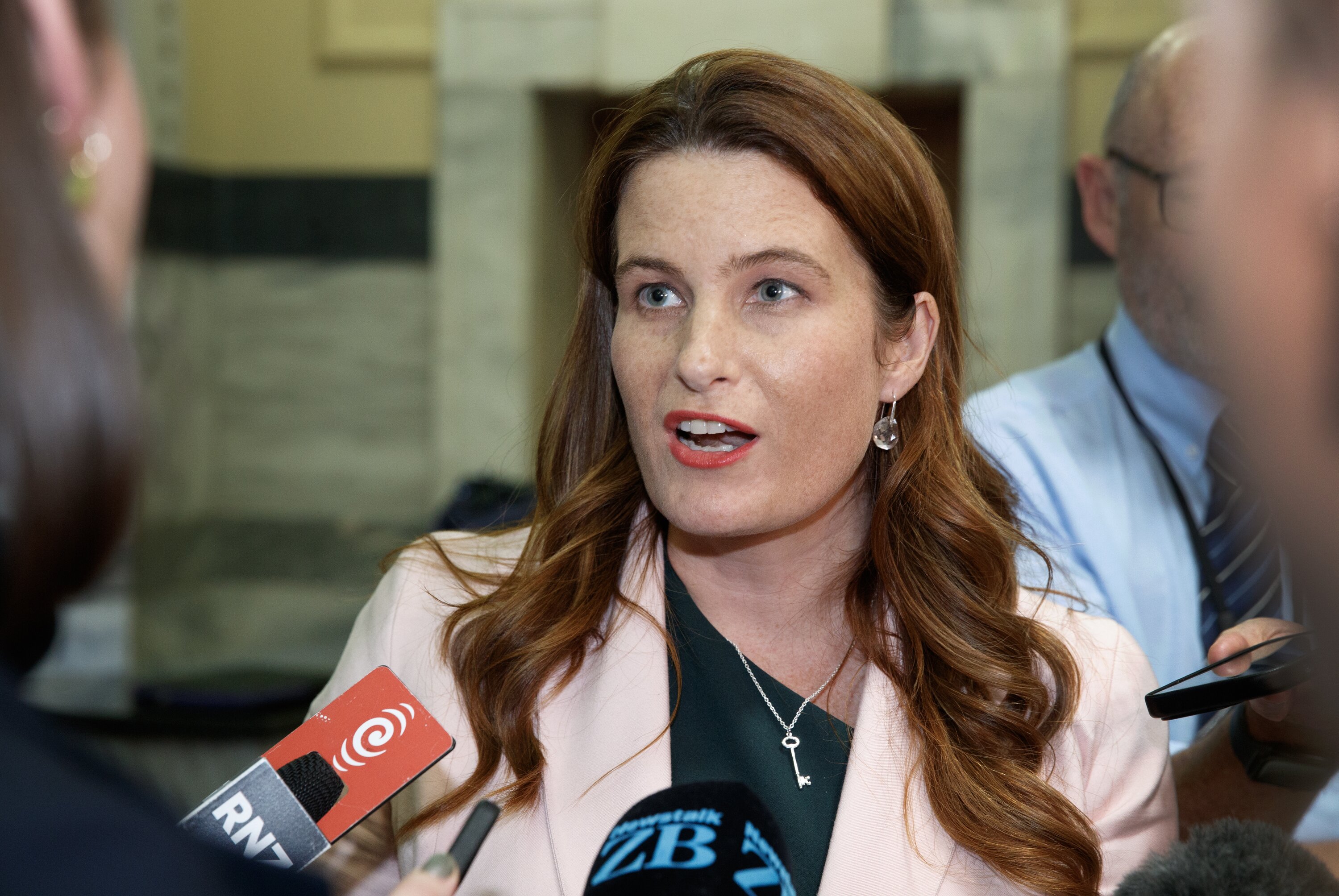Finance Minister Nicola Willis. Photo / Mark Mitchell 
