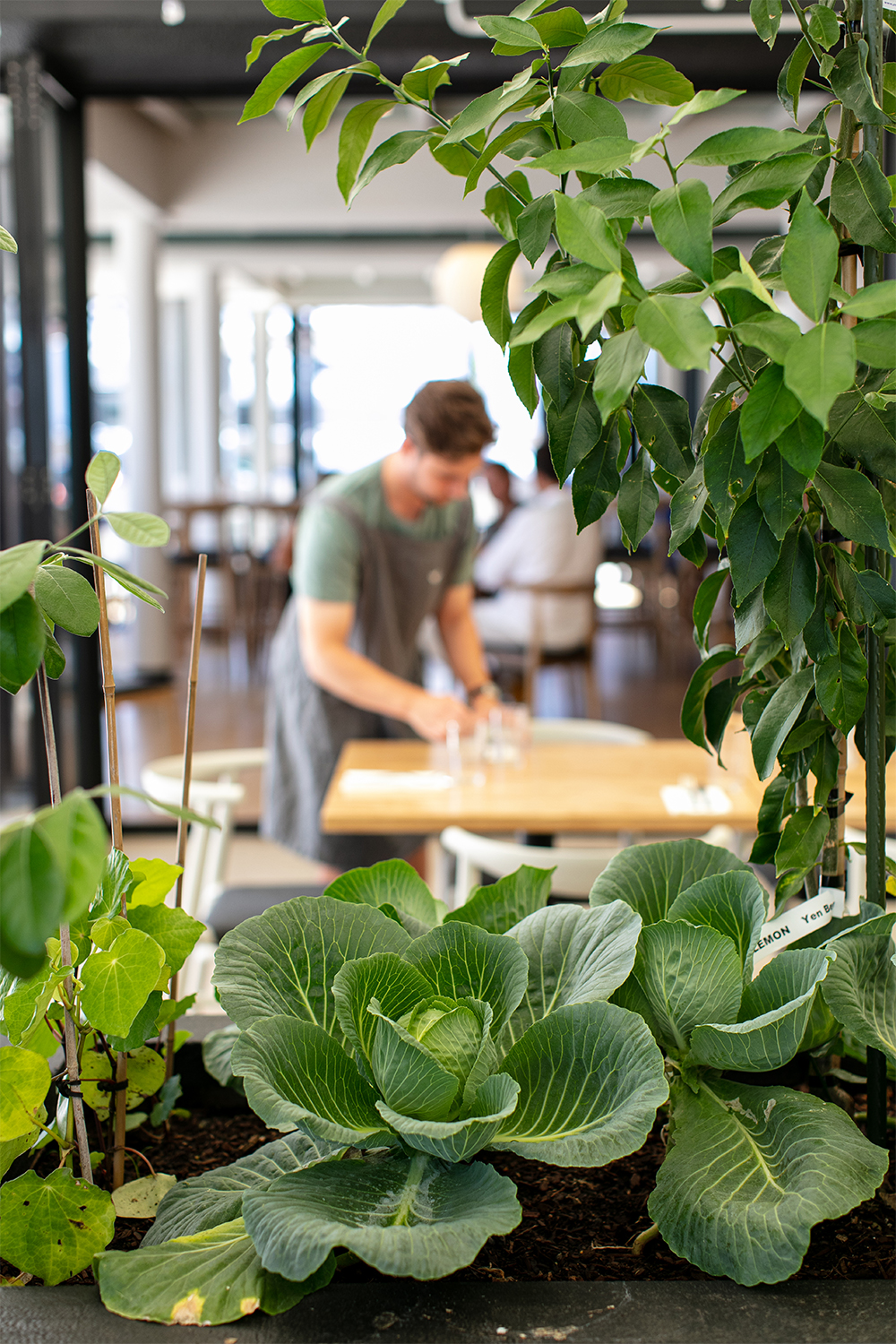 The menu is based on a garden-to-table style. Photo / Babiche Martens