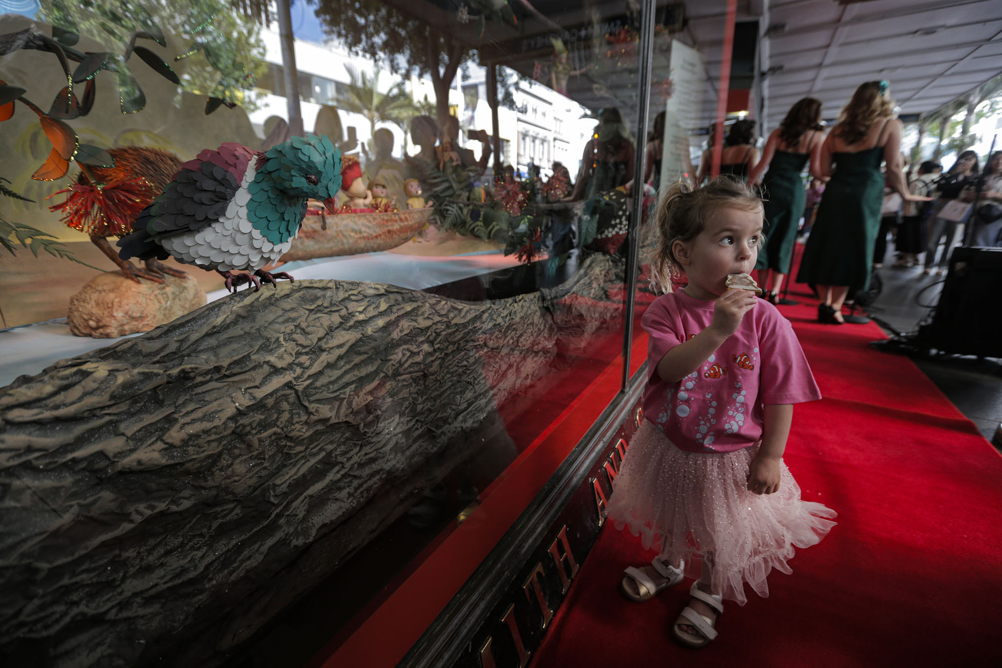 Smith and Caughey on Queen St has its Christmas displays up already, this year with a local theme. Here's Bella Jackson, aged 3, checking it out. Photo / Alex Burton