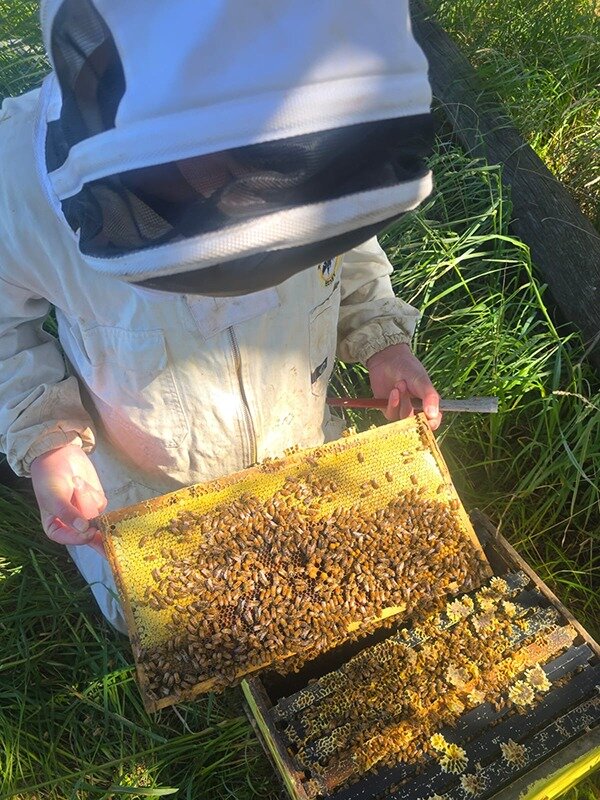 Xavier is a semi-commercial beekeeper.