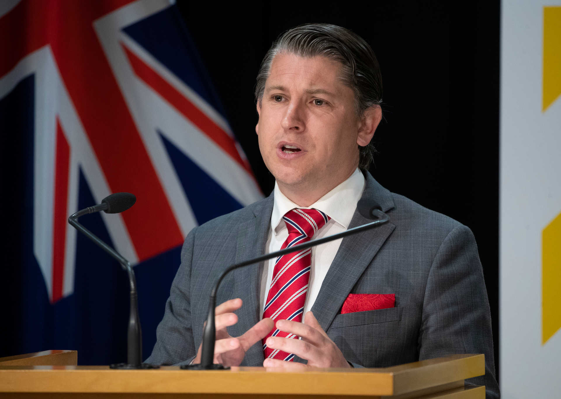 Workplace Relations and Safety Minister Michael Wood says the government will take time to consider the judgment before making any further decisions. Photo / Mark Mitchell