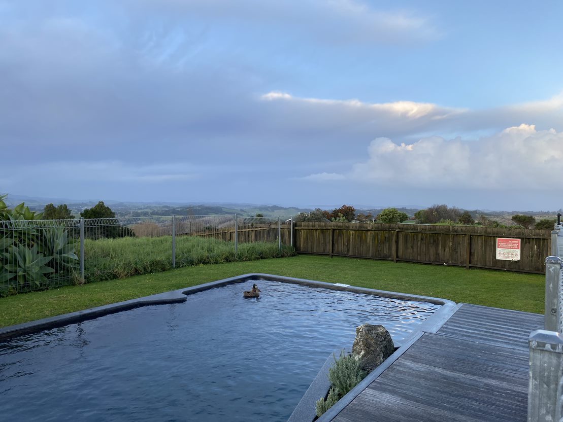 Woodhouse Mountain Lodge boasts an outdoor swimming pool and spa facilities. Photo / Anna Sarjeant