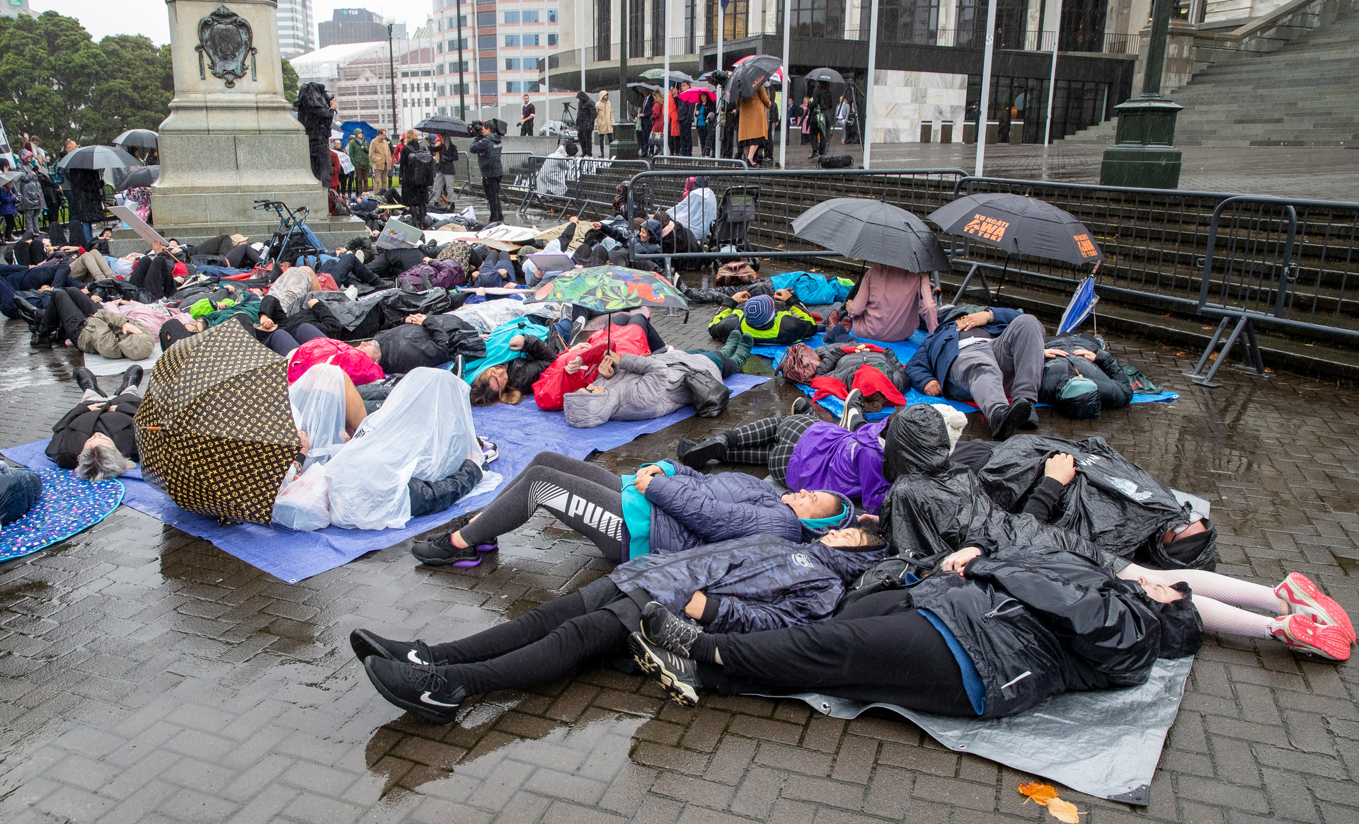 Lie Down For Life protesters, calling for increased funding and a review of Pharmac, in May this year. Photo / Mark Mitchell
