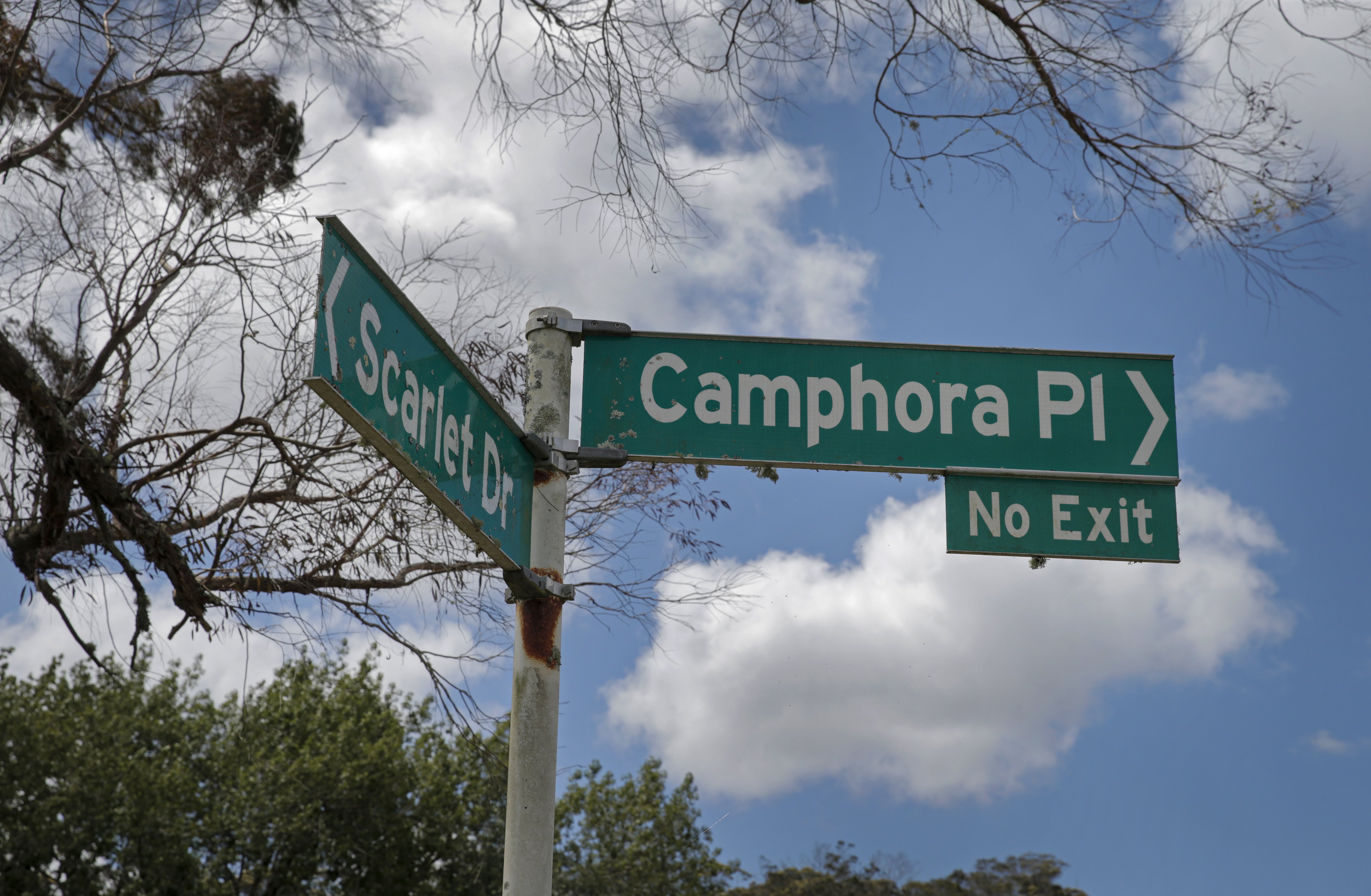 Half the homes at Camphora Place in Rānui are being removed. Photo / Alex Burton