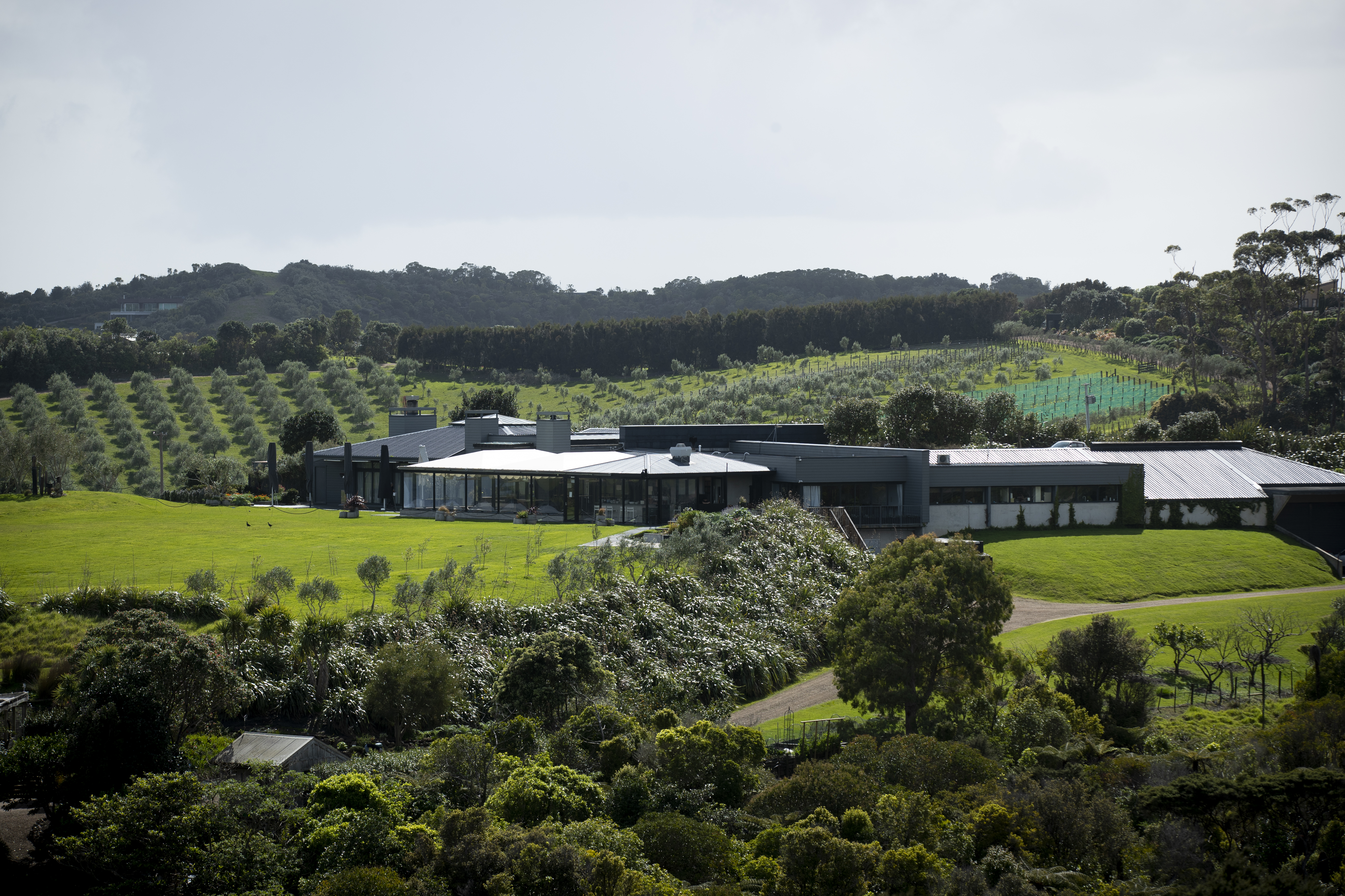 The Cable Bay winery and restaurant is located in Waiheke Island's Ōneroa and commands views of the Hauraki Gulf. Photo / Dean Purcell