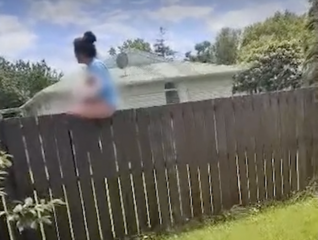 Katelyn Park says she has been asked to call police by the neighbours themselves. Photo / Katelyn Park