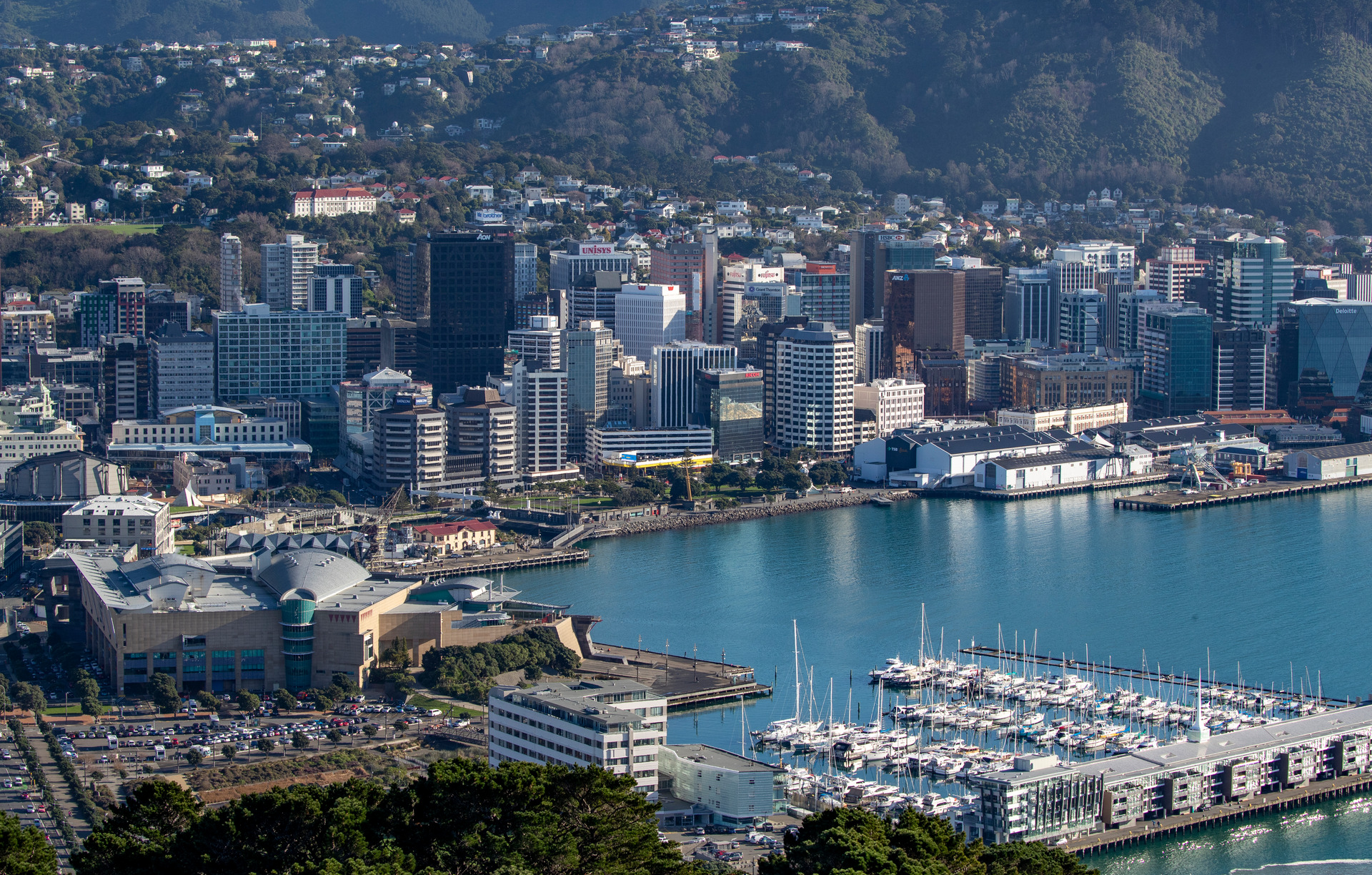 Wellington City Council could save ratepayers between $21 million and $42m with improved contract management, Deloitte has found. Photo / Mark Mitchell