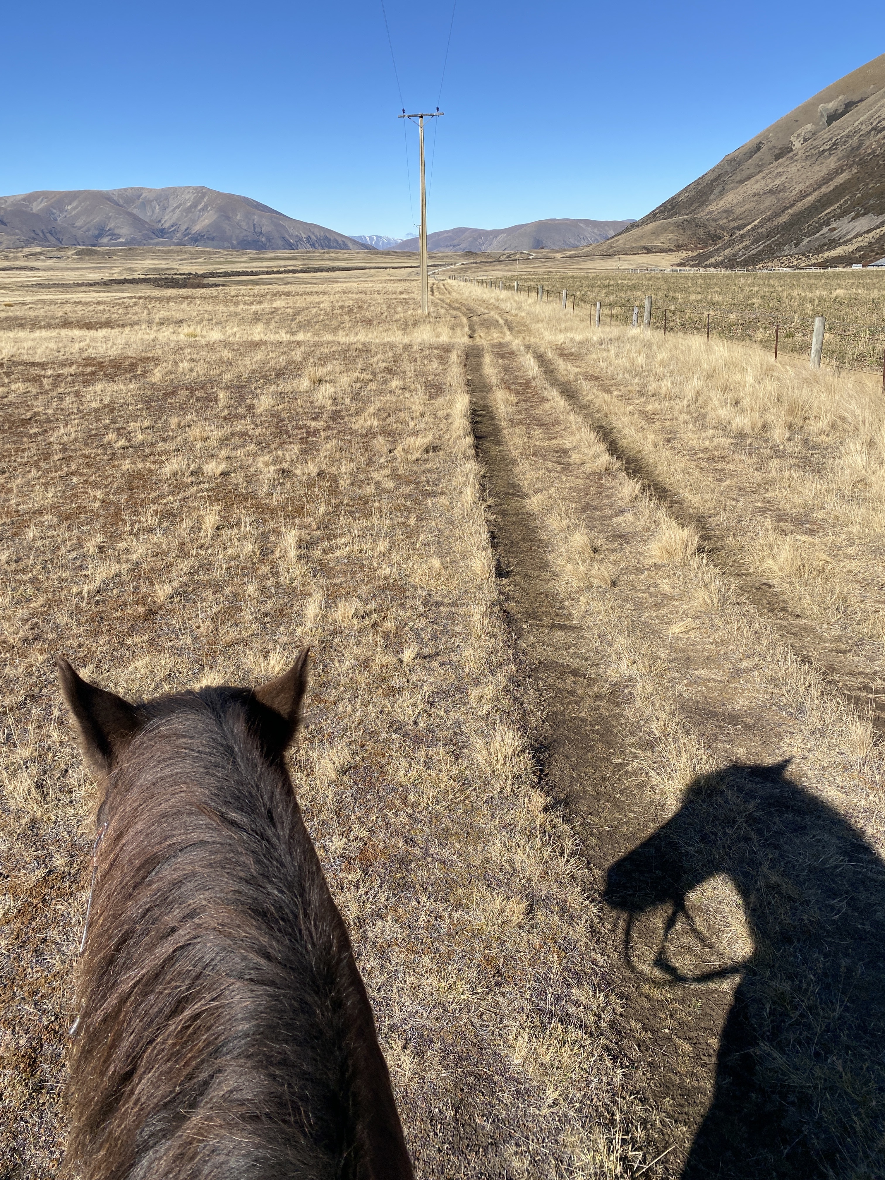 Activities at The Lindis luxury lodge in the Ahuriri Valley include horse riding, hiking and private dining. Photo / Stephanie Holmes