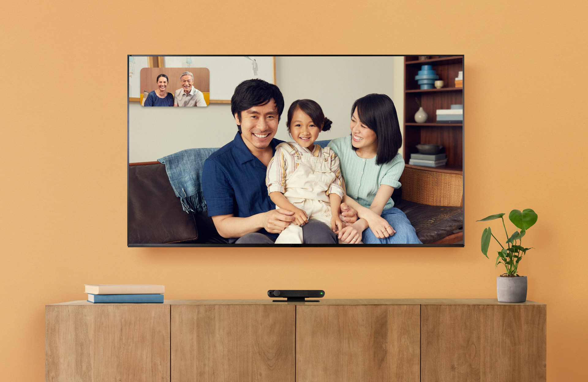 amazonbasics allbirds