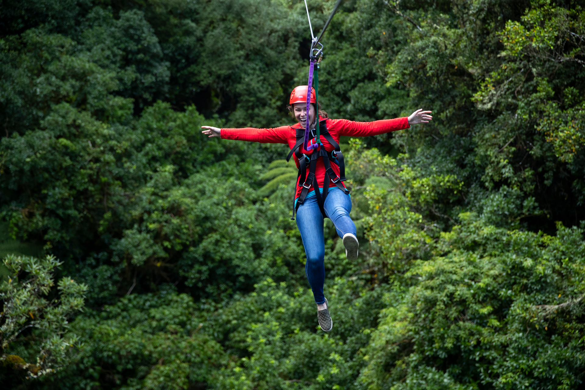 Ziplining with Rotorua Canopy Tours. Photo / Destination Rotorua